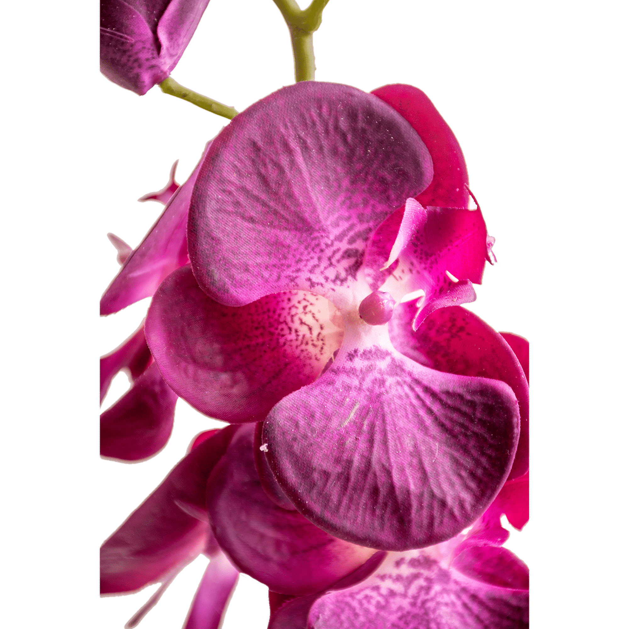 ITEM-007275_1_1