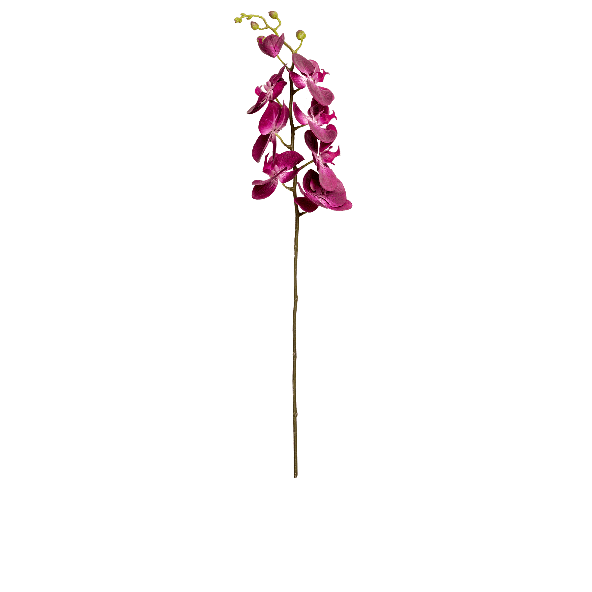 ITEM-007275_3