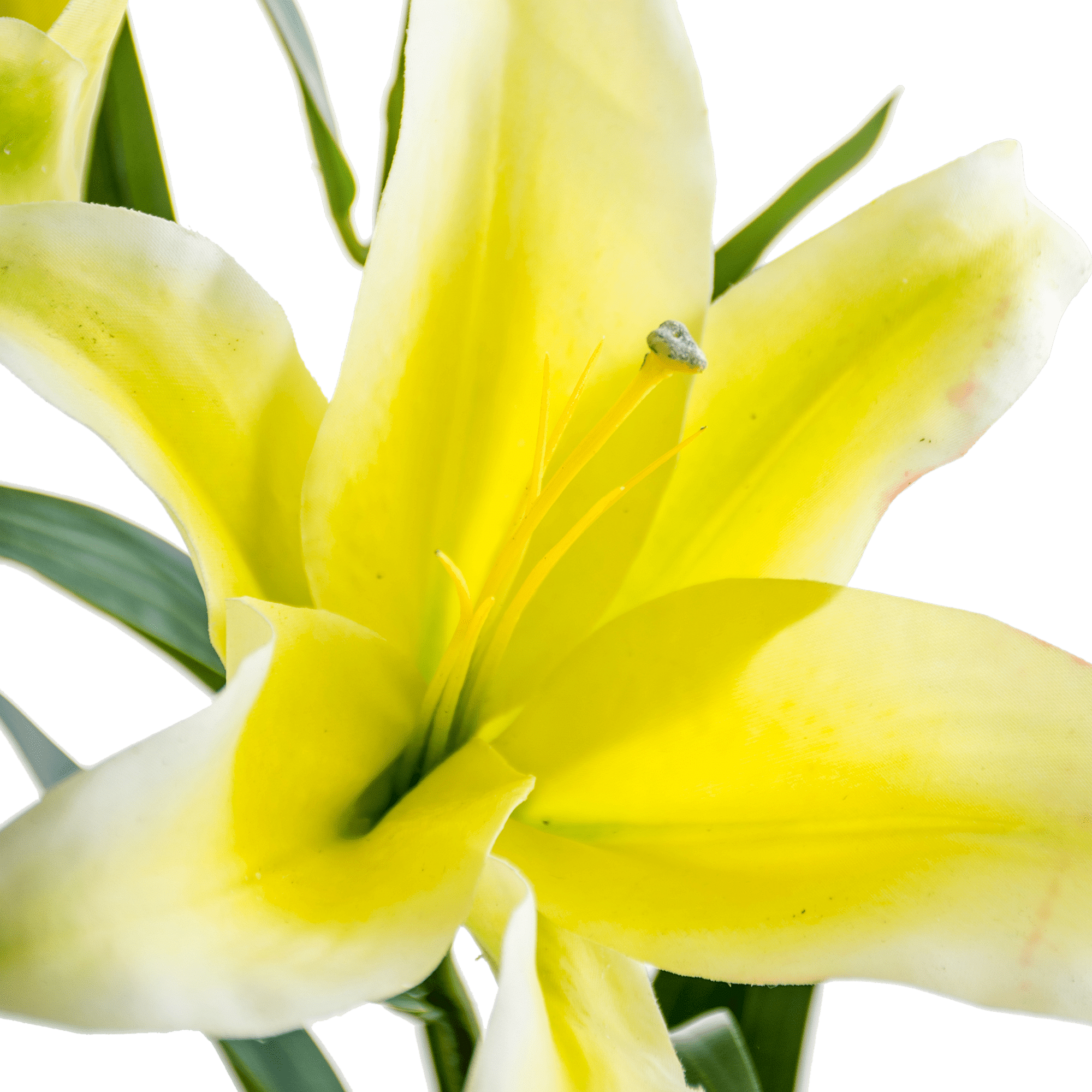 ITEM-007277_1_1