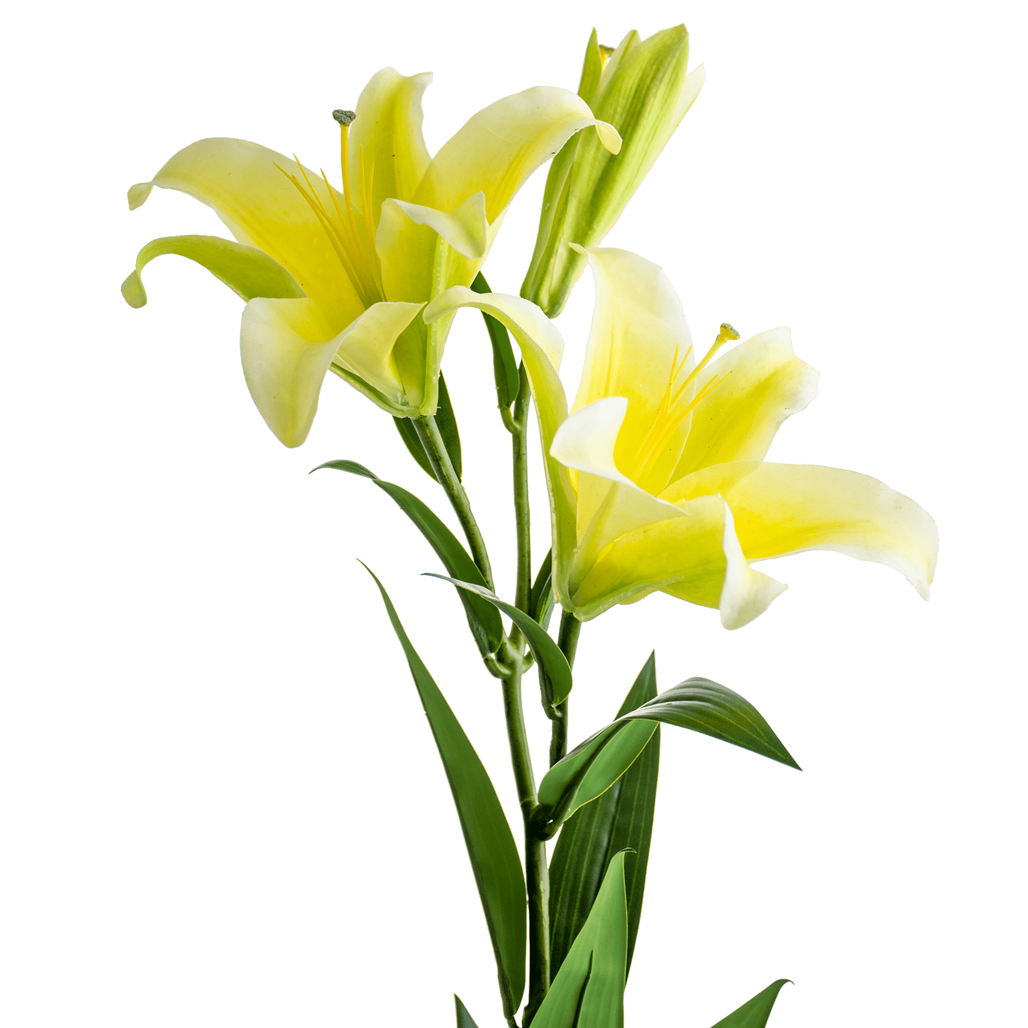ITEM-007277_2_1