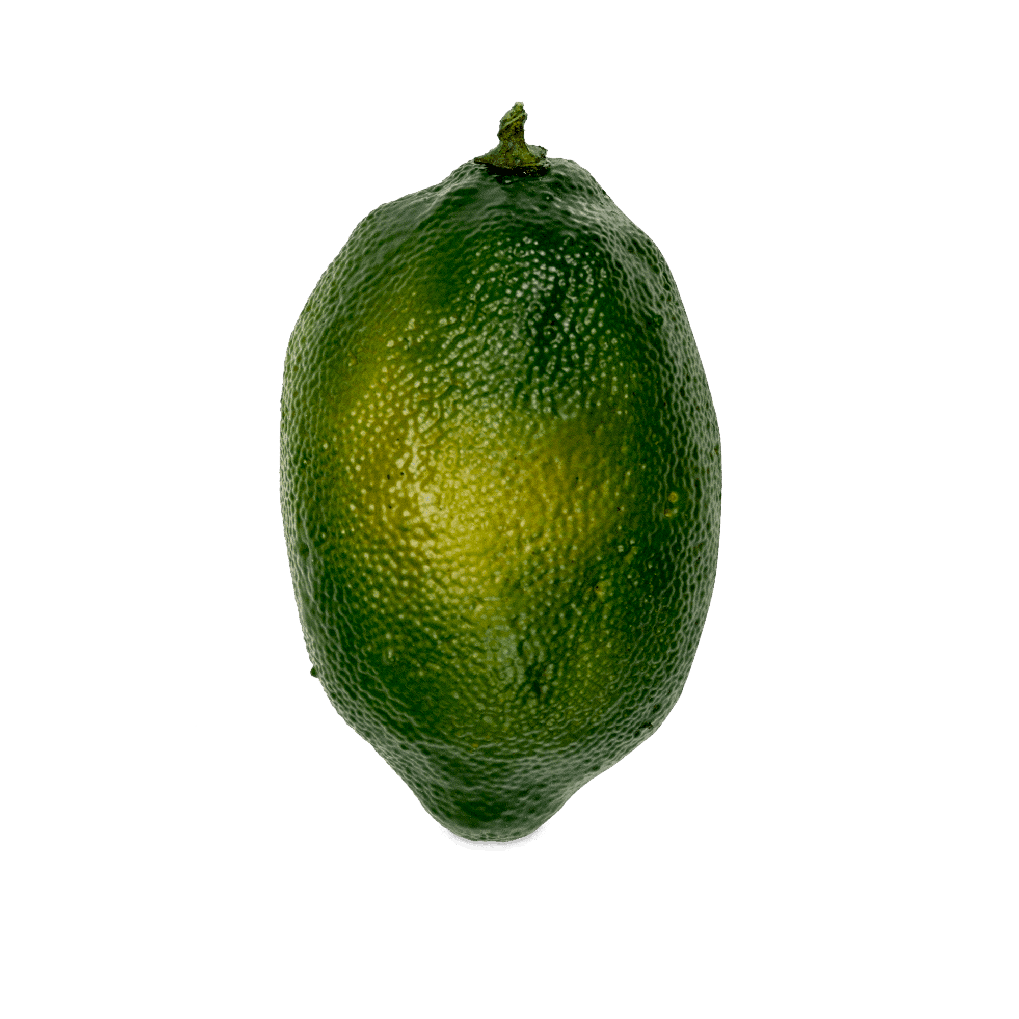 ITEM-007293_2