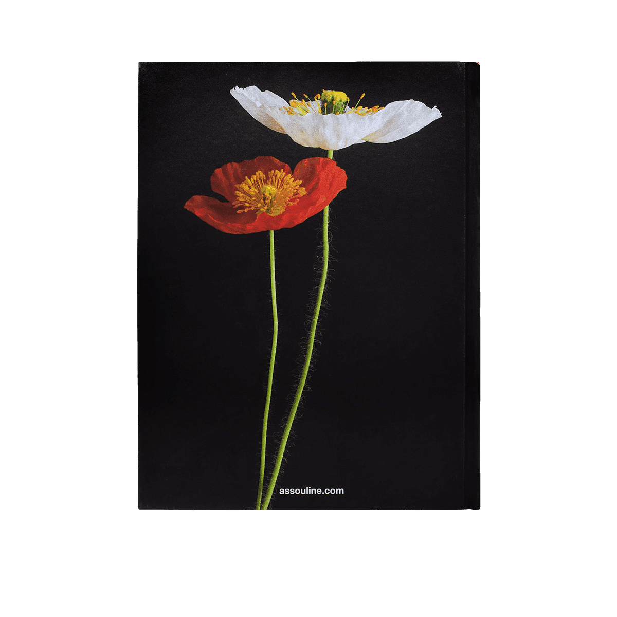 Flowers Art & Bouquets Coffee Table Book