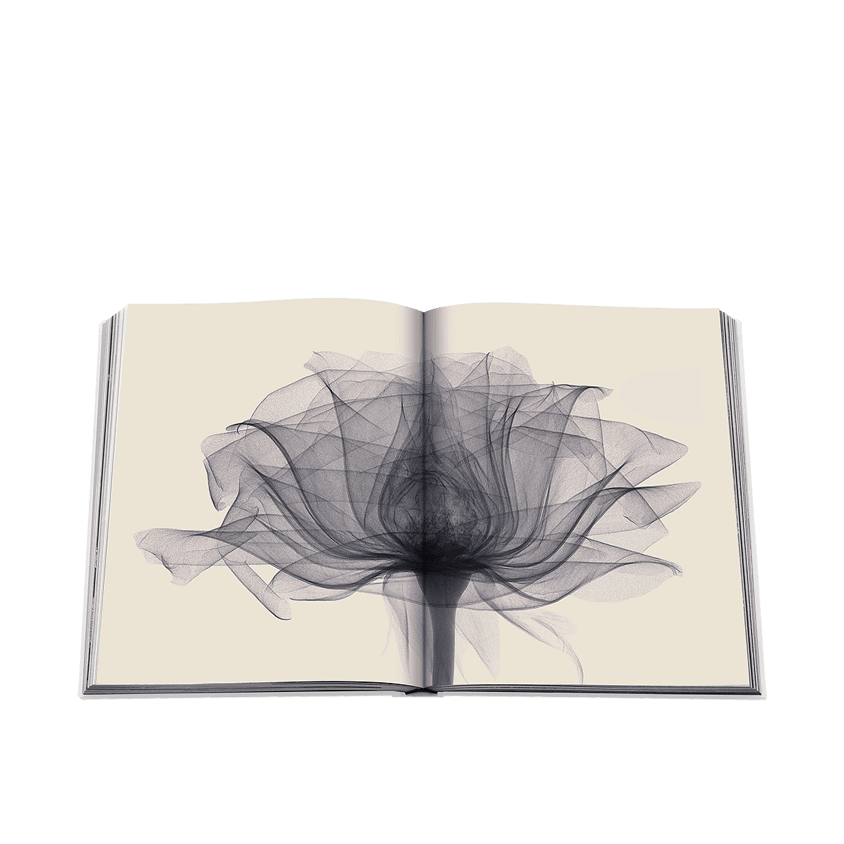 Flowers Art & Bouquets Coffee Table Book
