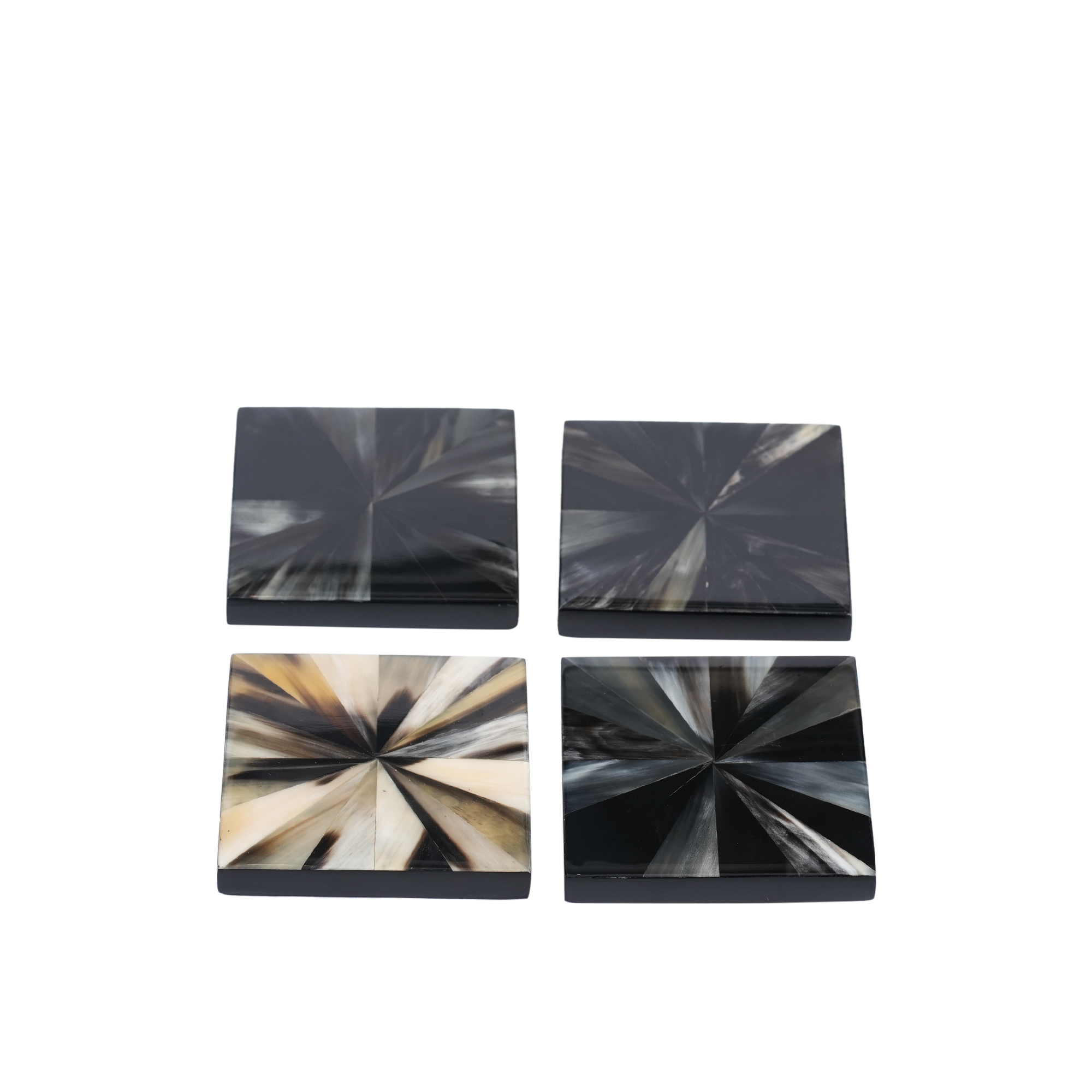 Bison Marbled Horn Coaster S/4 with Case
