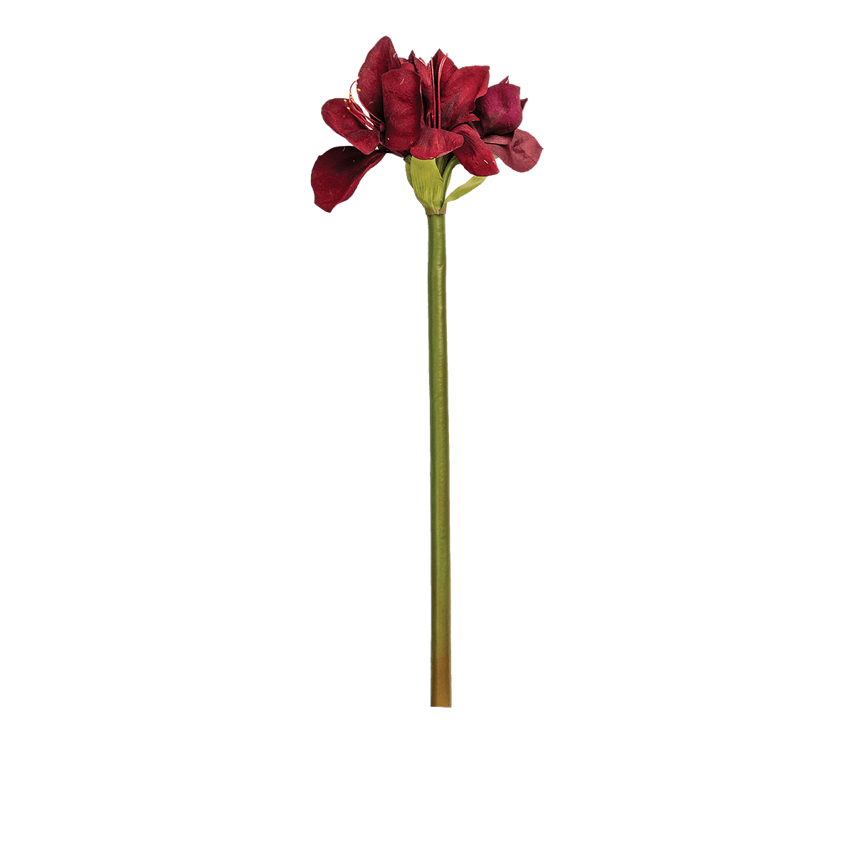 ITEM-012947_3