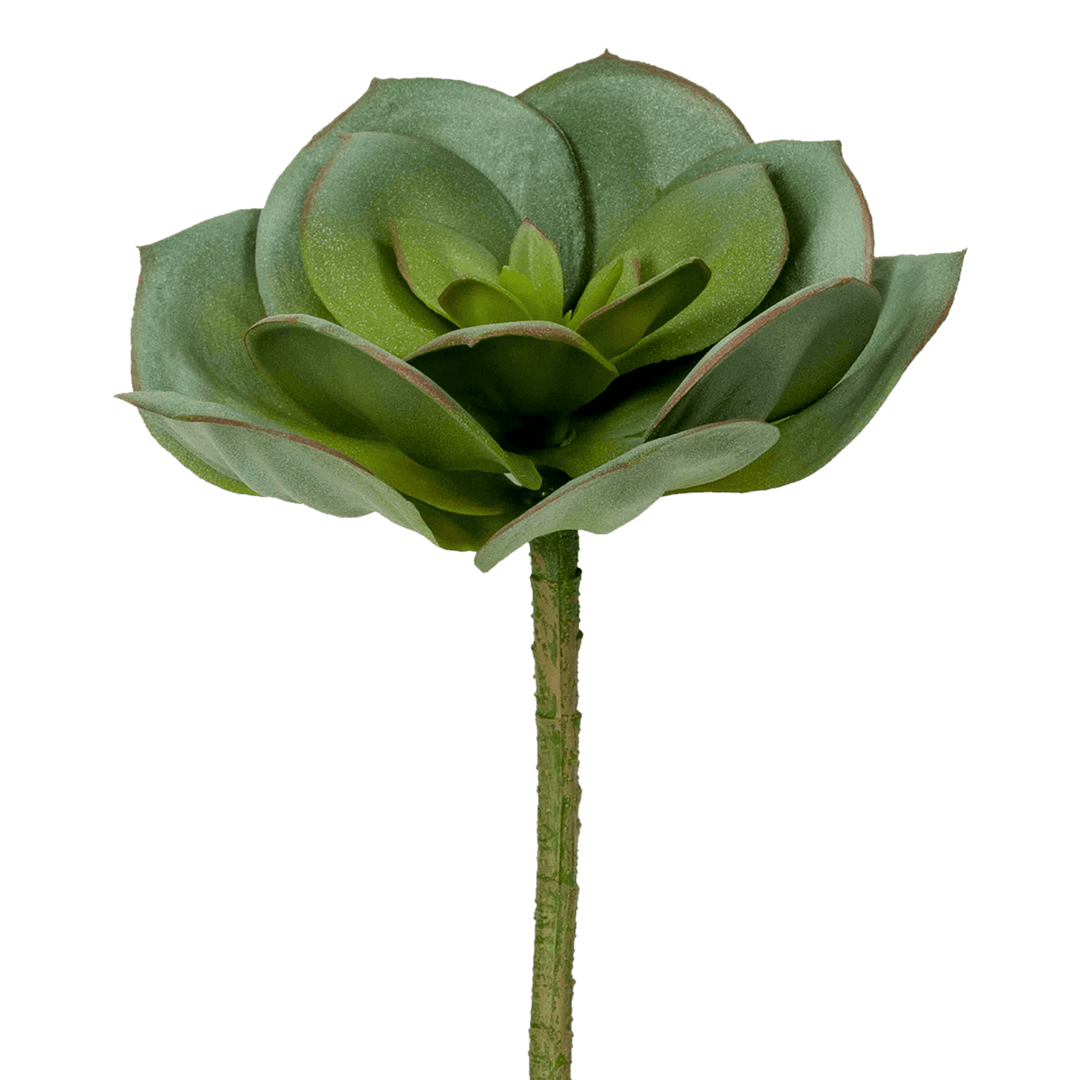 ITEM-017307_1_1
