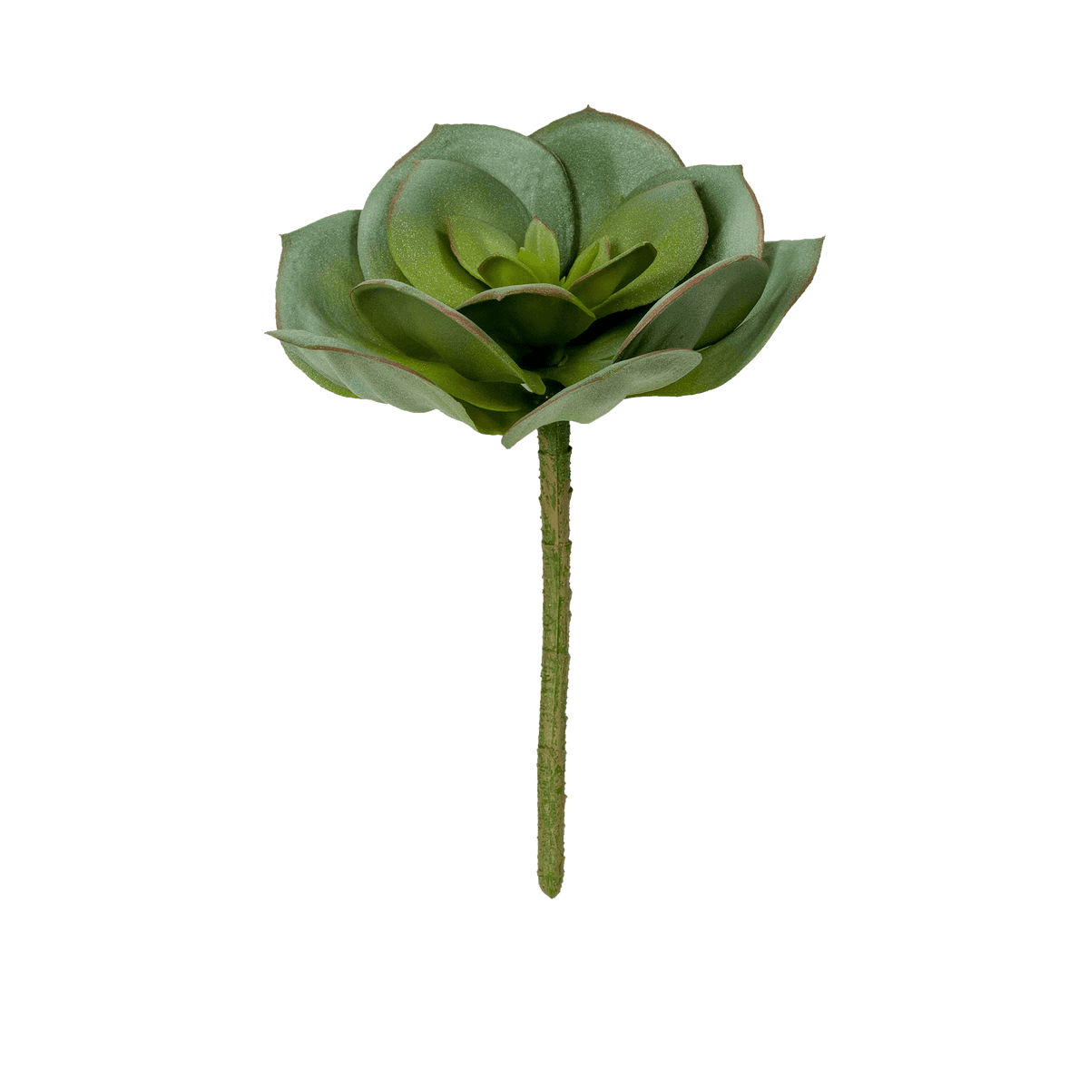 ITEM-017307_2