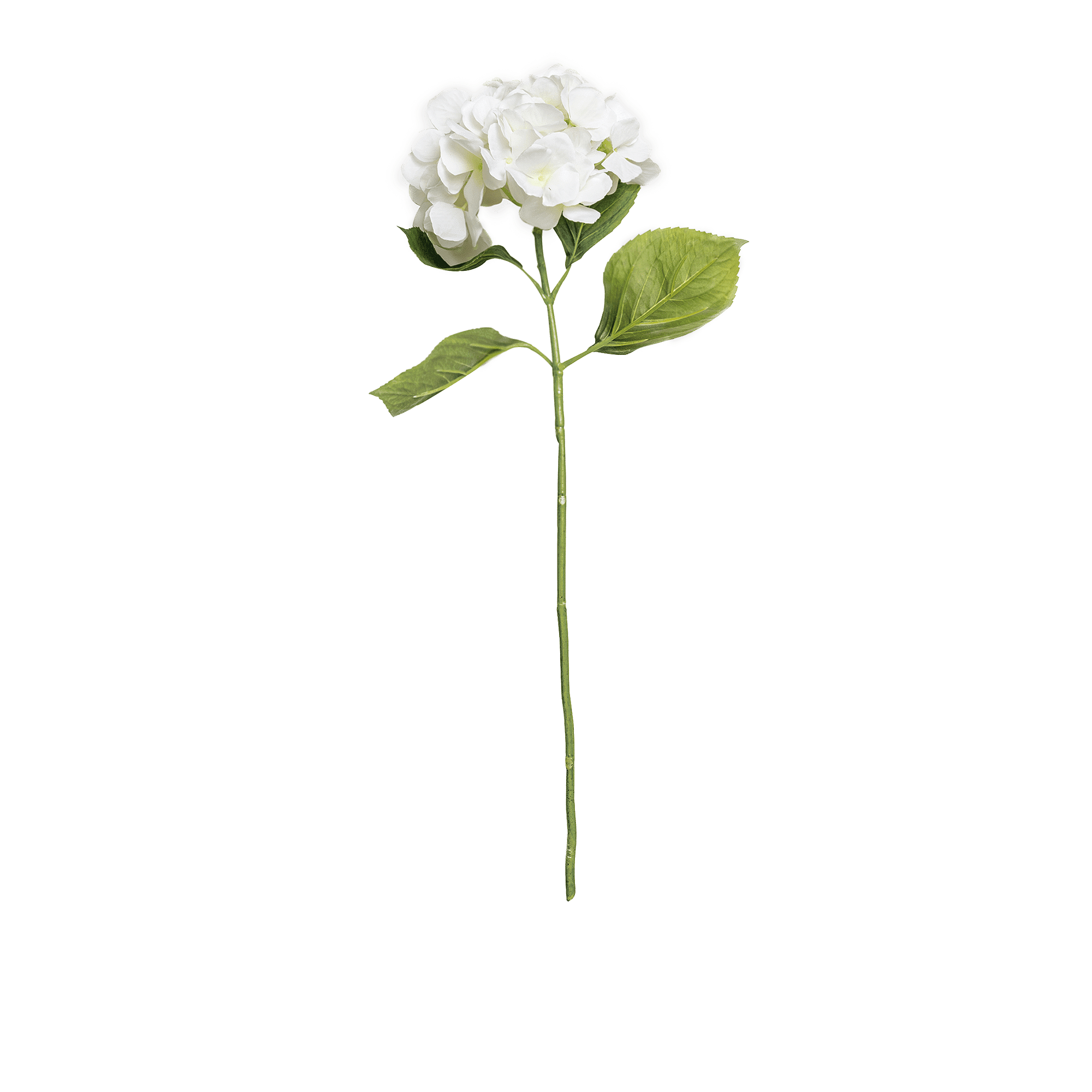 ITEM-017330_2