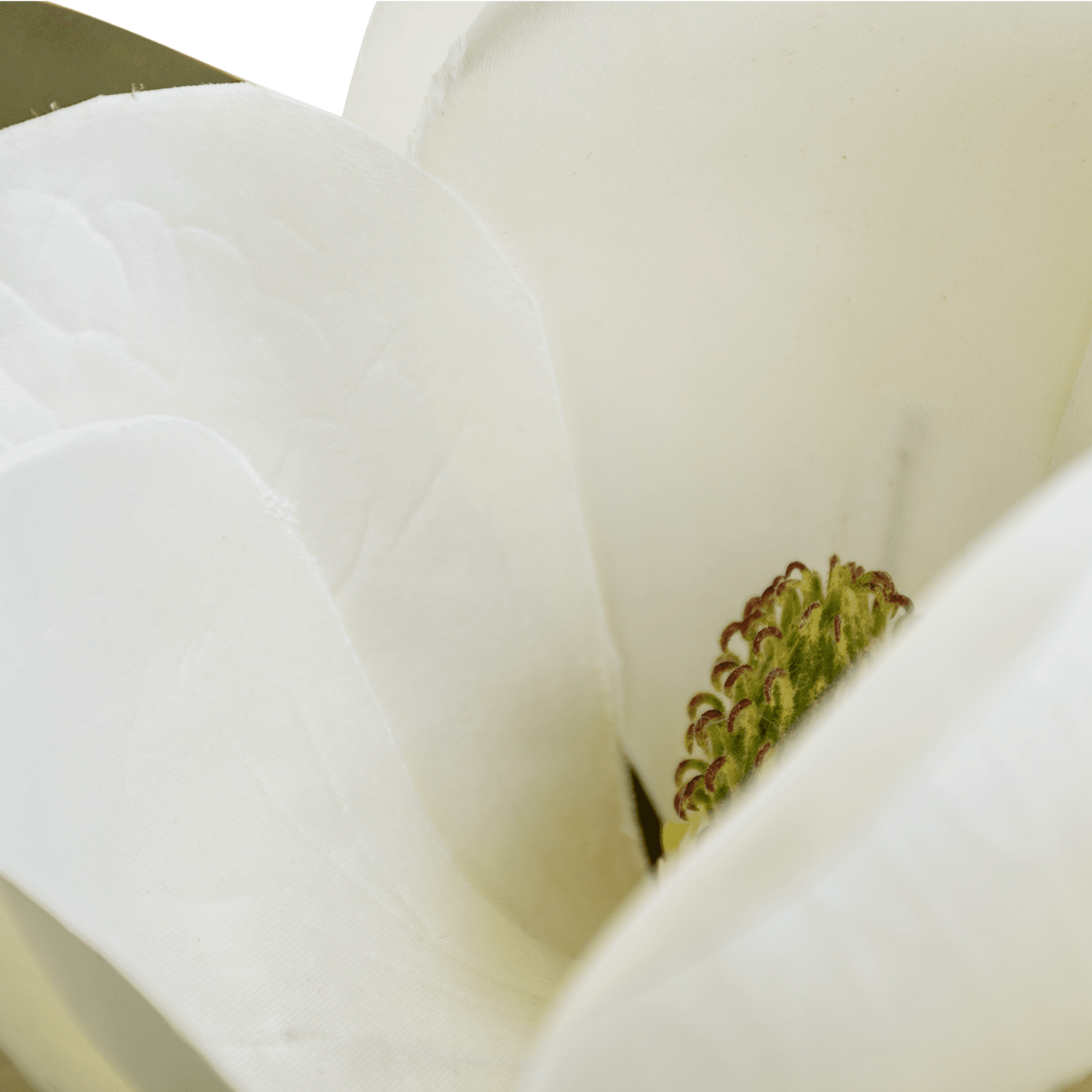 ITEM-017334_1_1