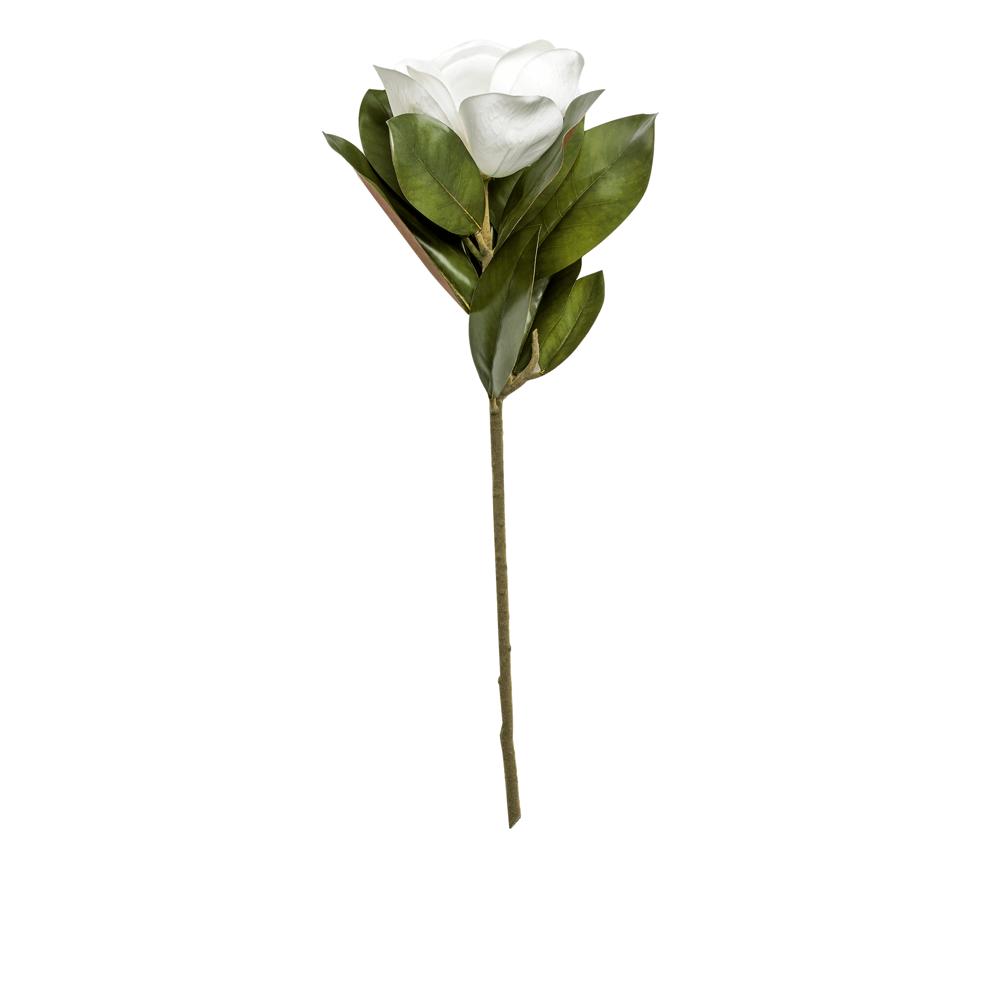 ITEM-017334_2