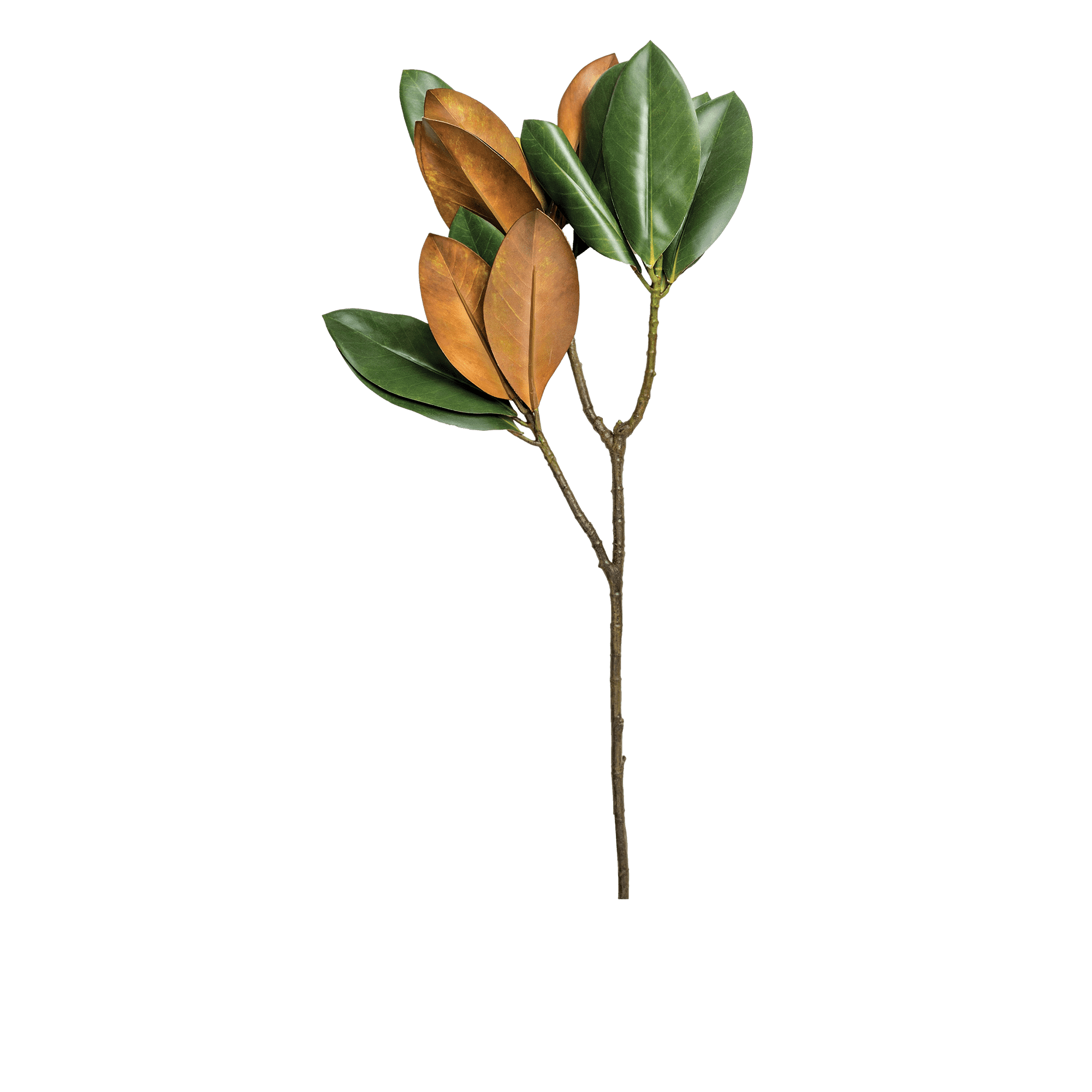 ITEM-017335_3