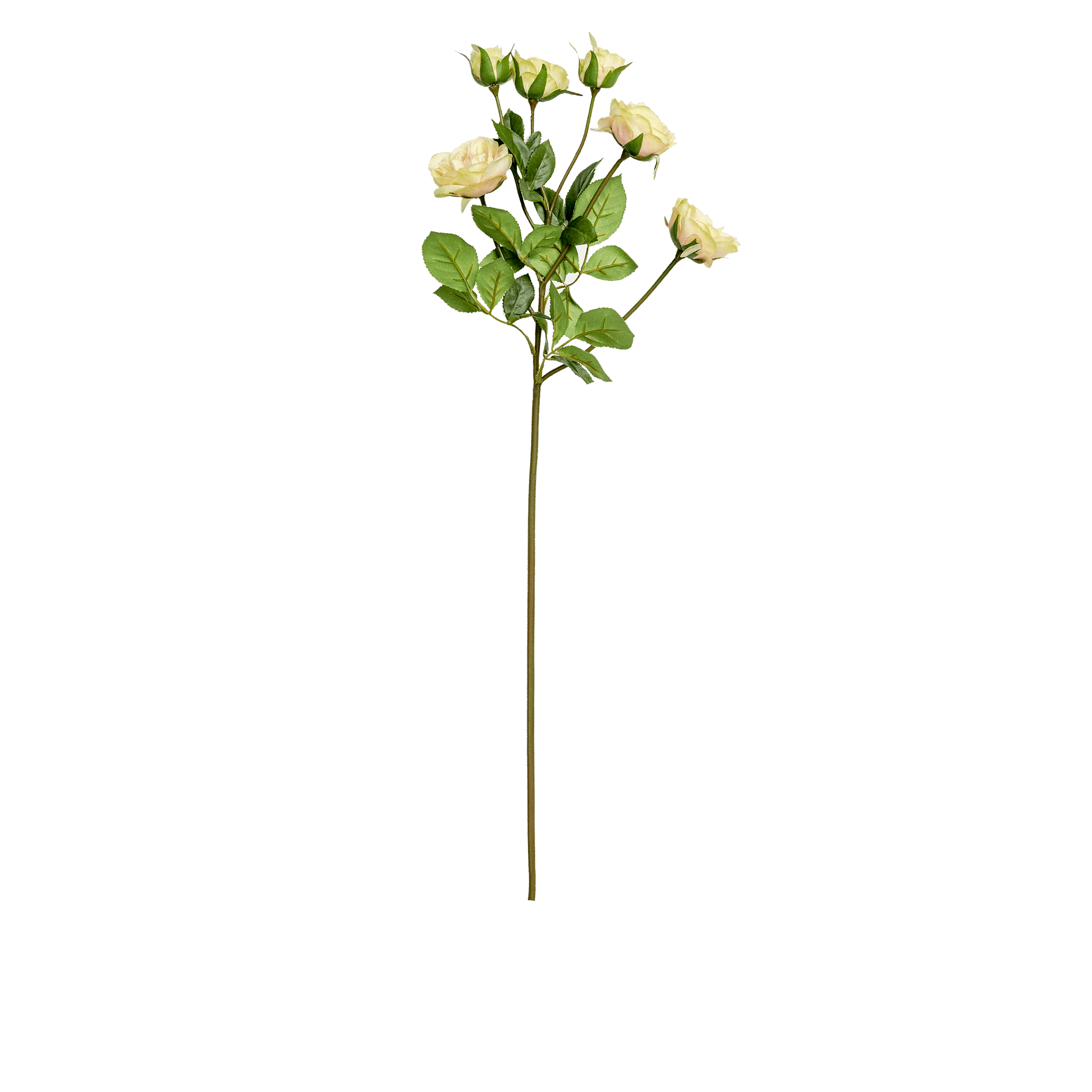 Rose Spray