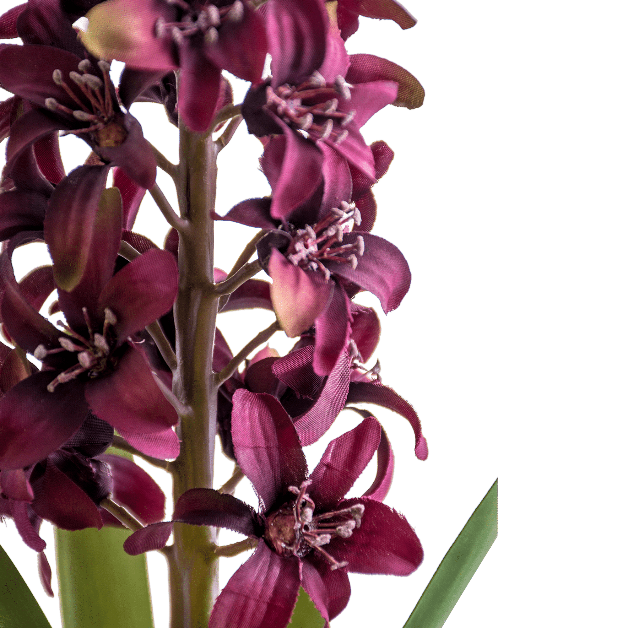 ITEM-018129_1_1