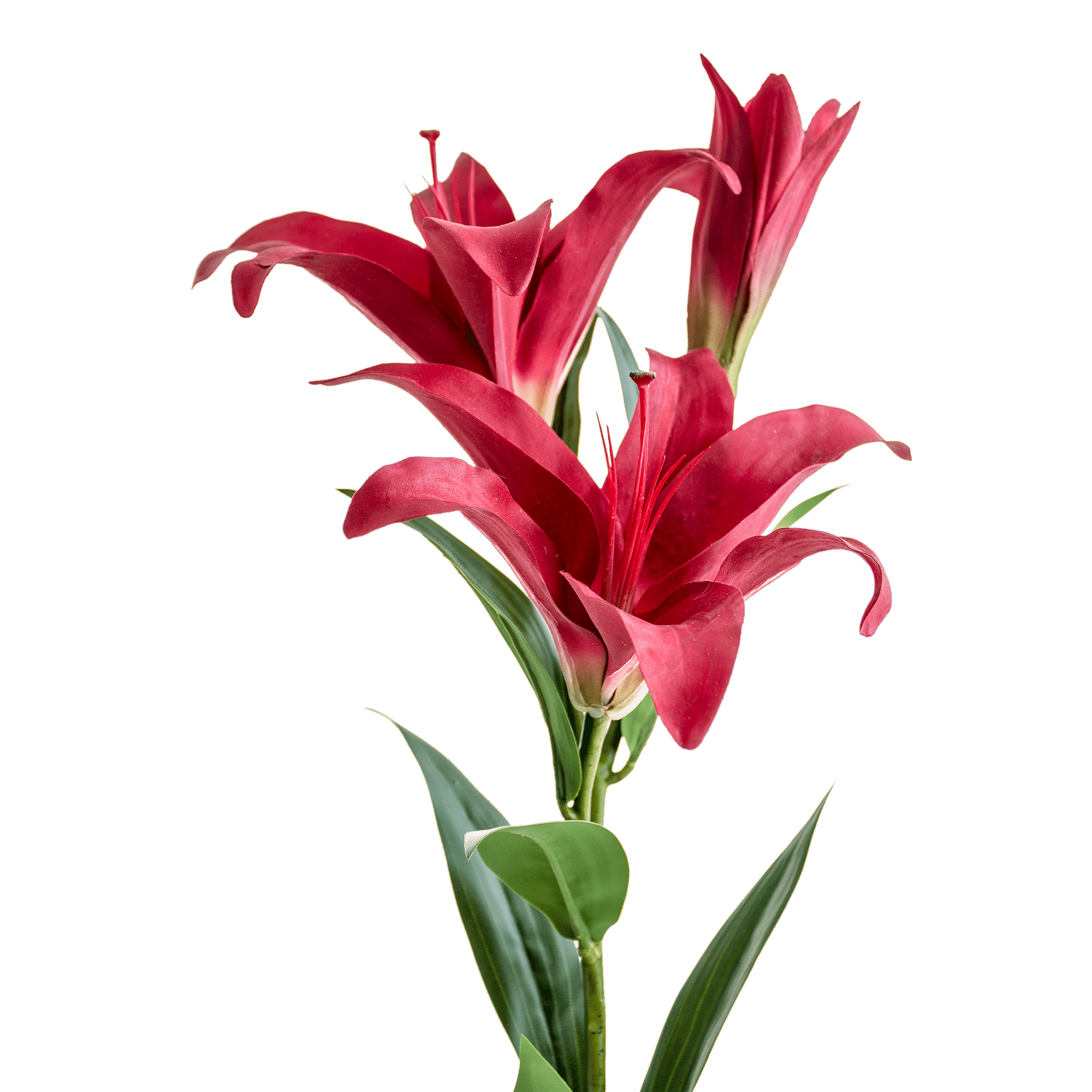 ITEM-018285_2_1
