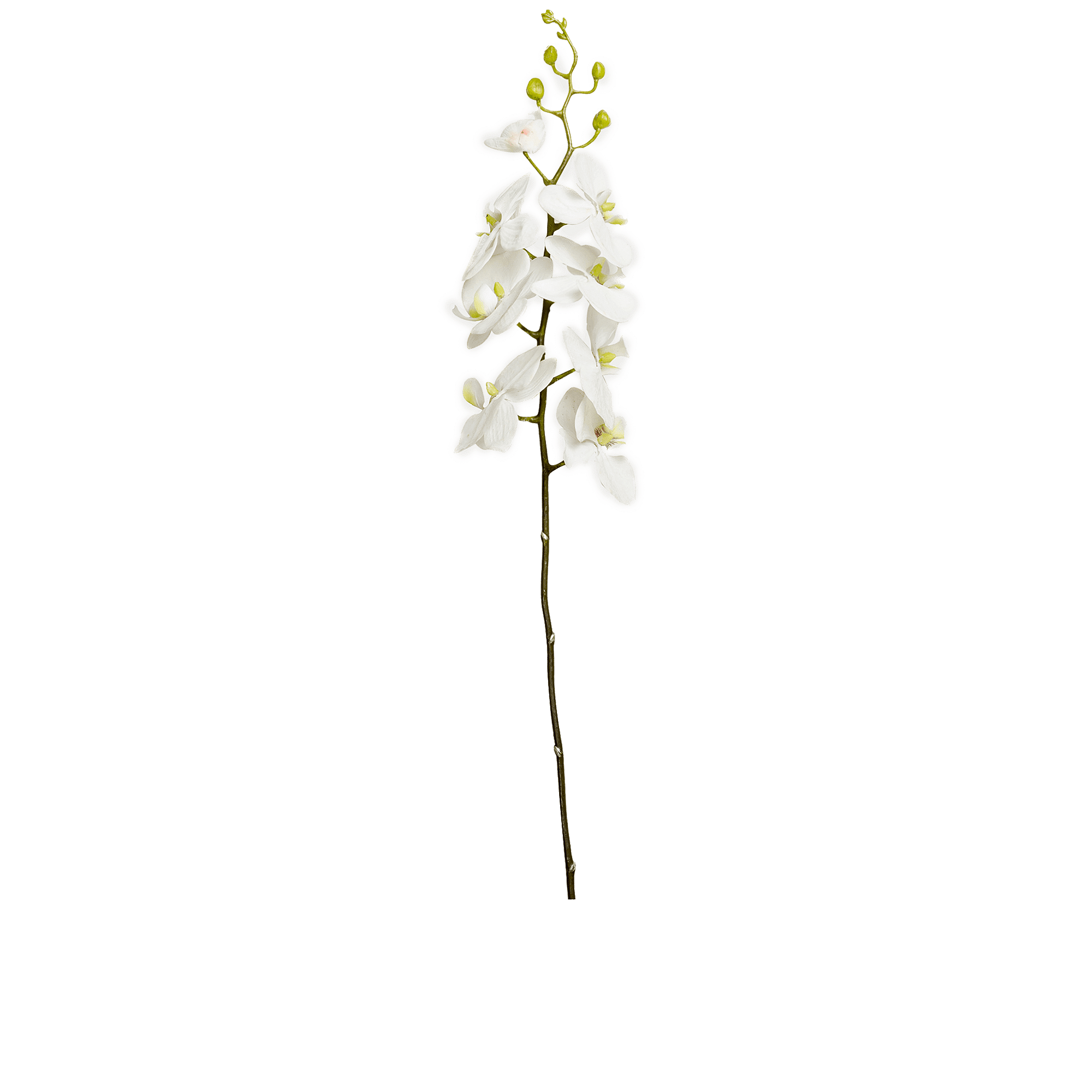 ITEM-018965_2