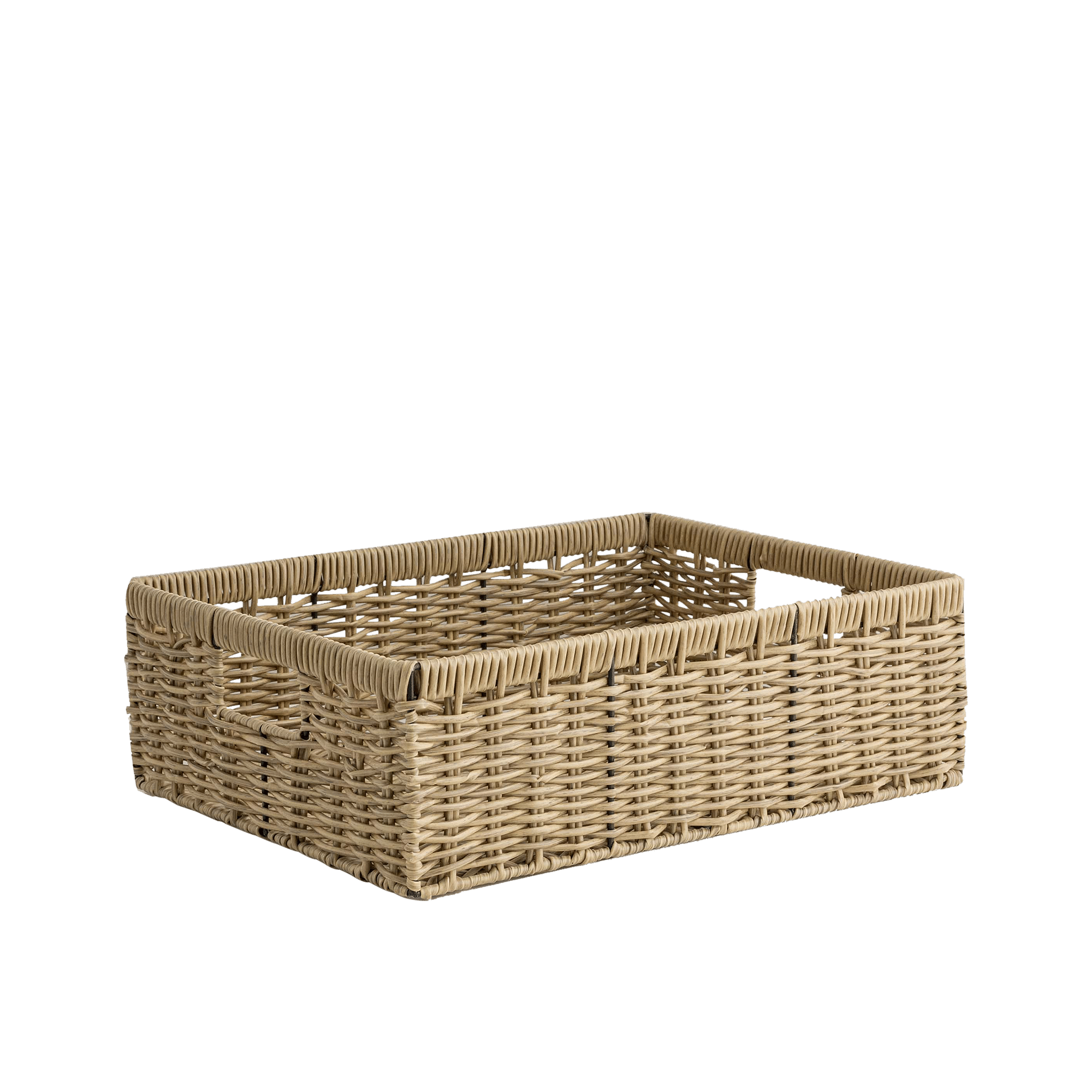 ITEM-019569_1_1