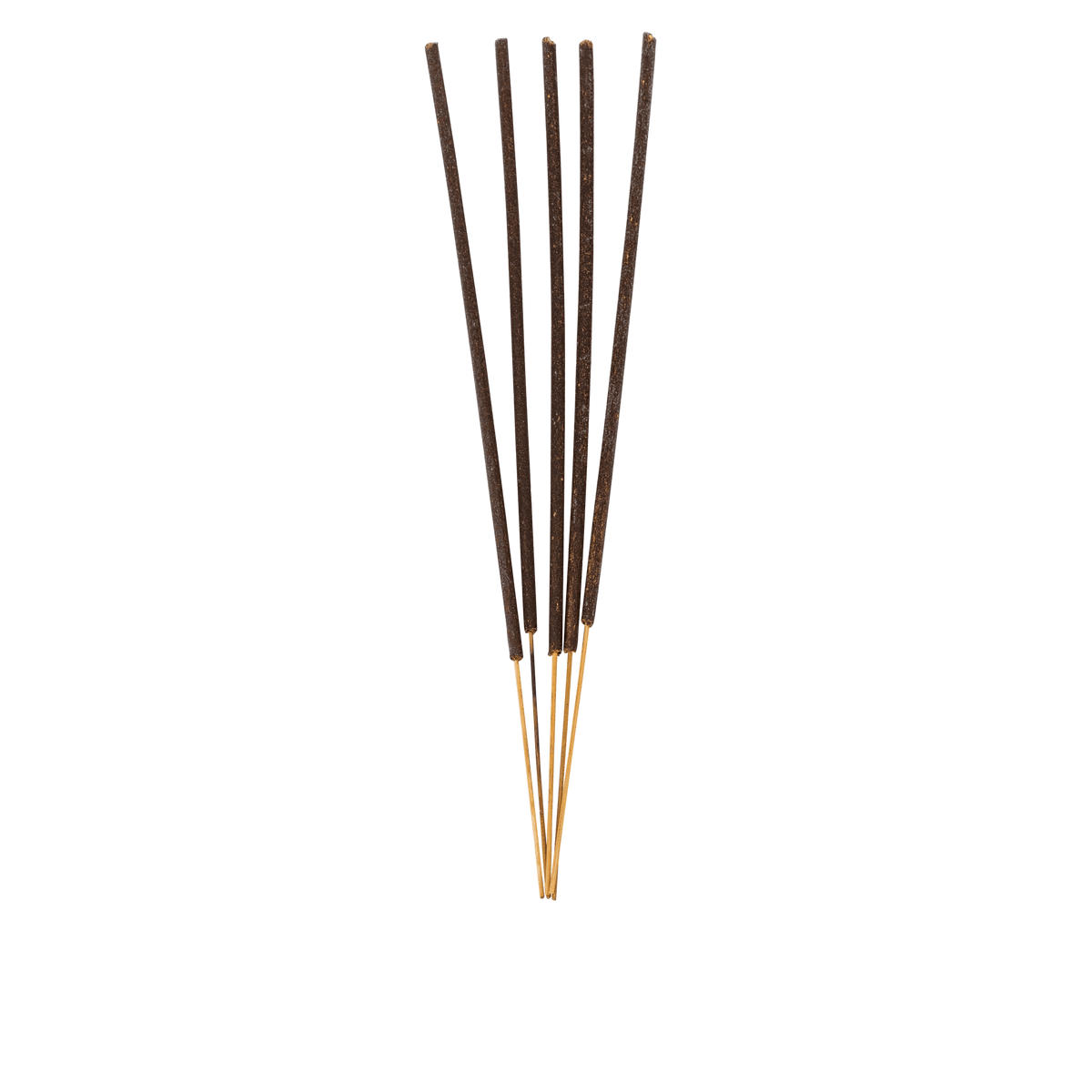 ITEM-019979_1_1