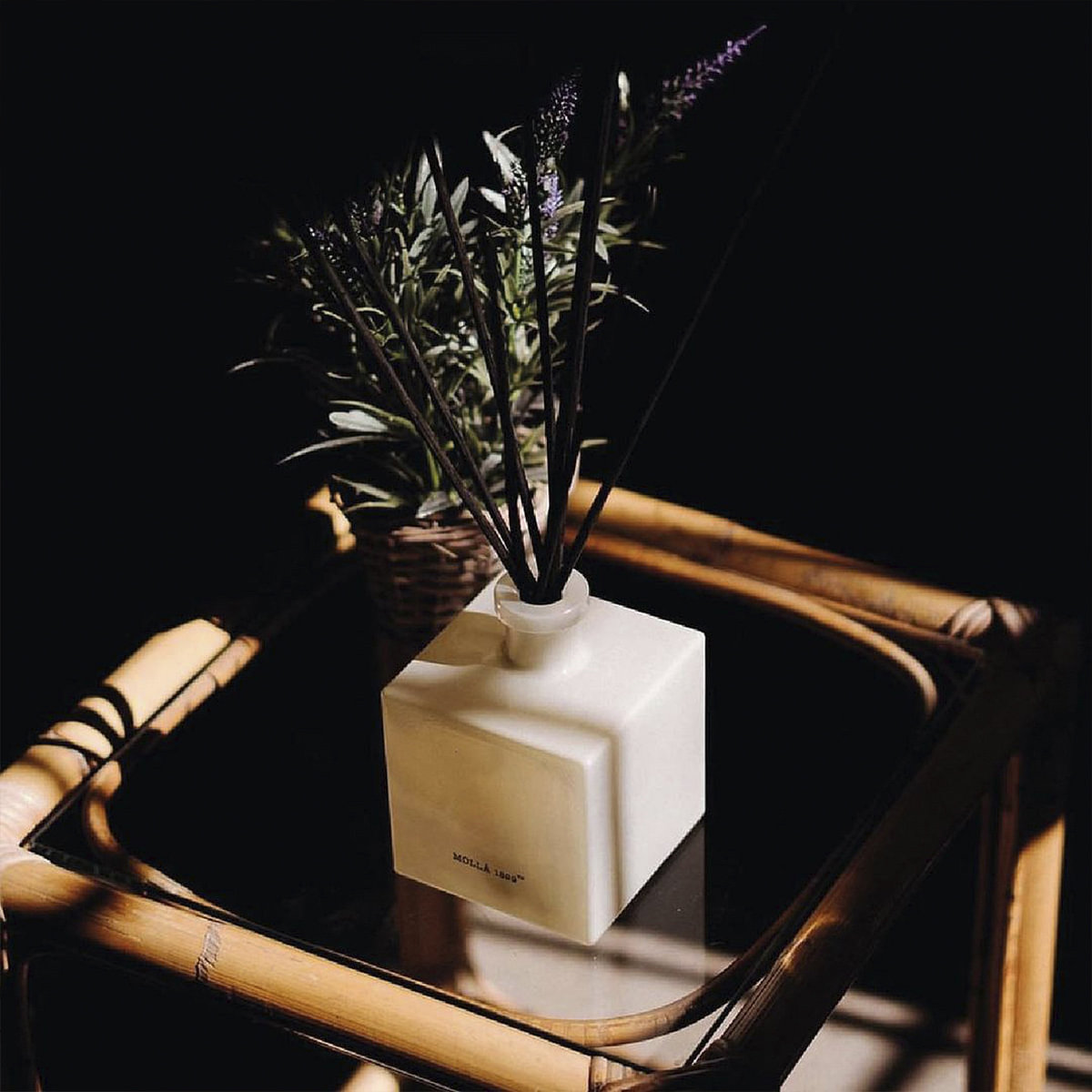 ITEM-019979_2_1