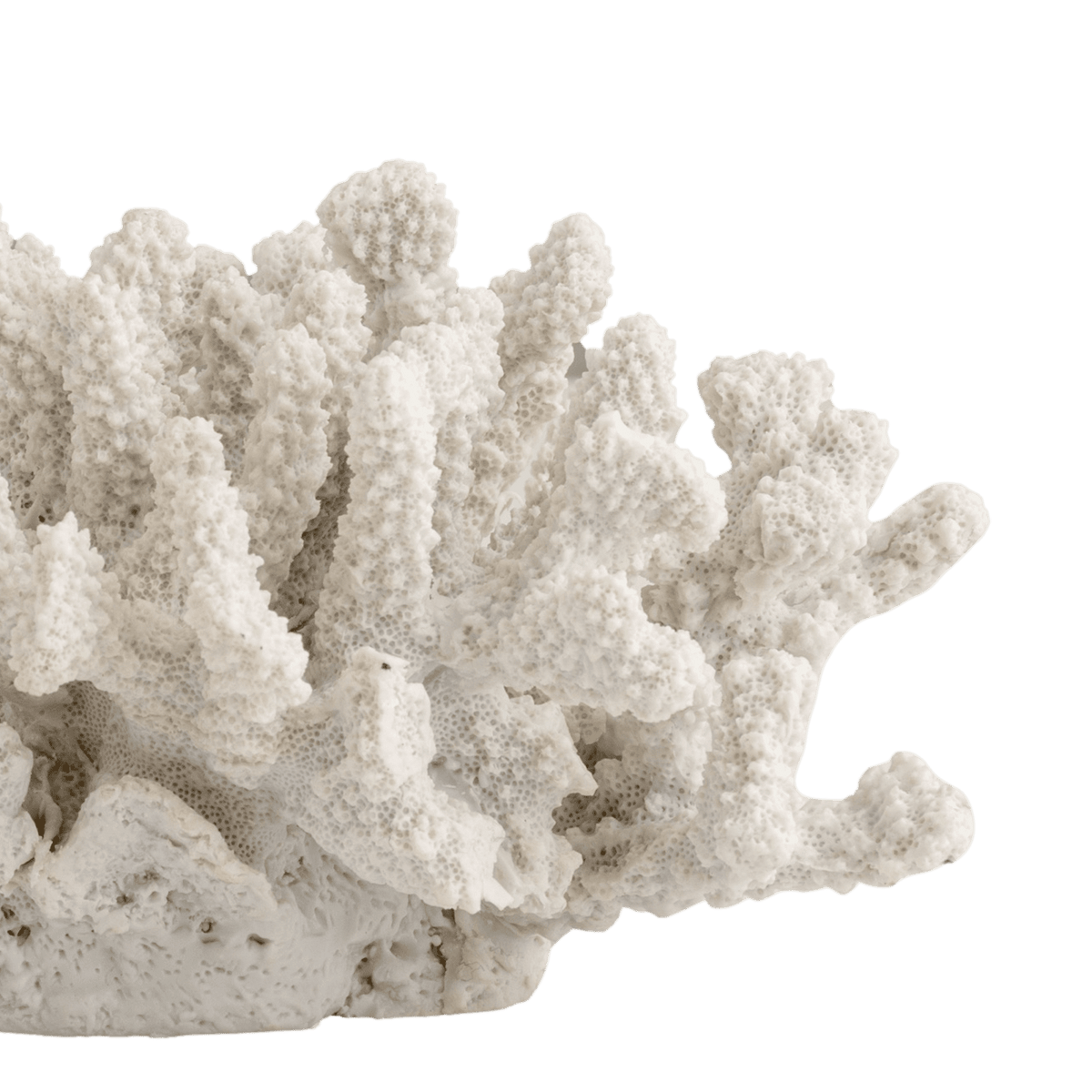 RI000163_1_1