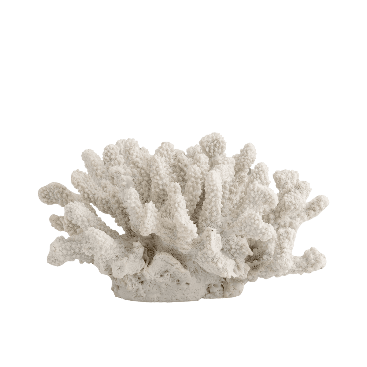 RI000163_2