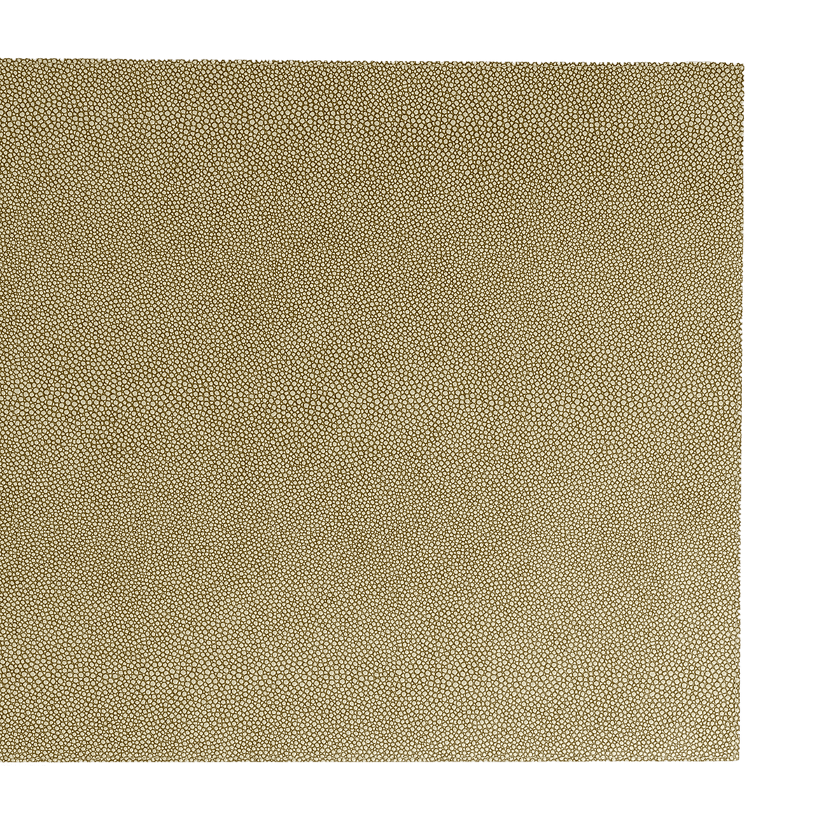 RI000396_1_1
