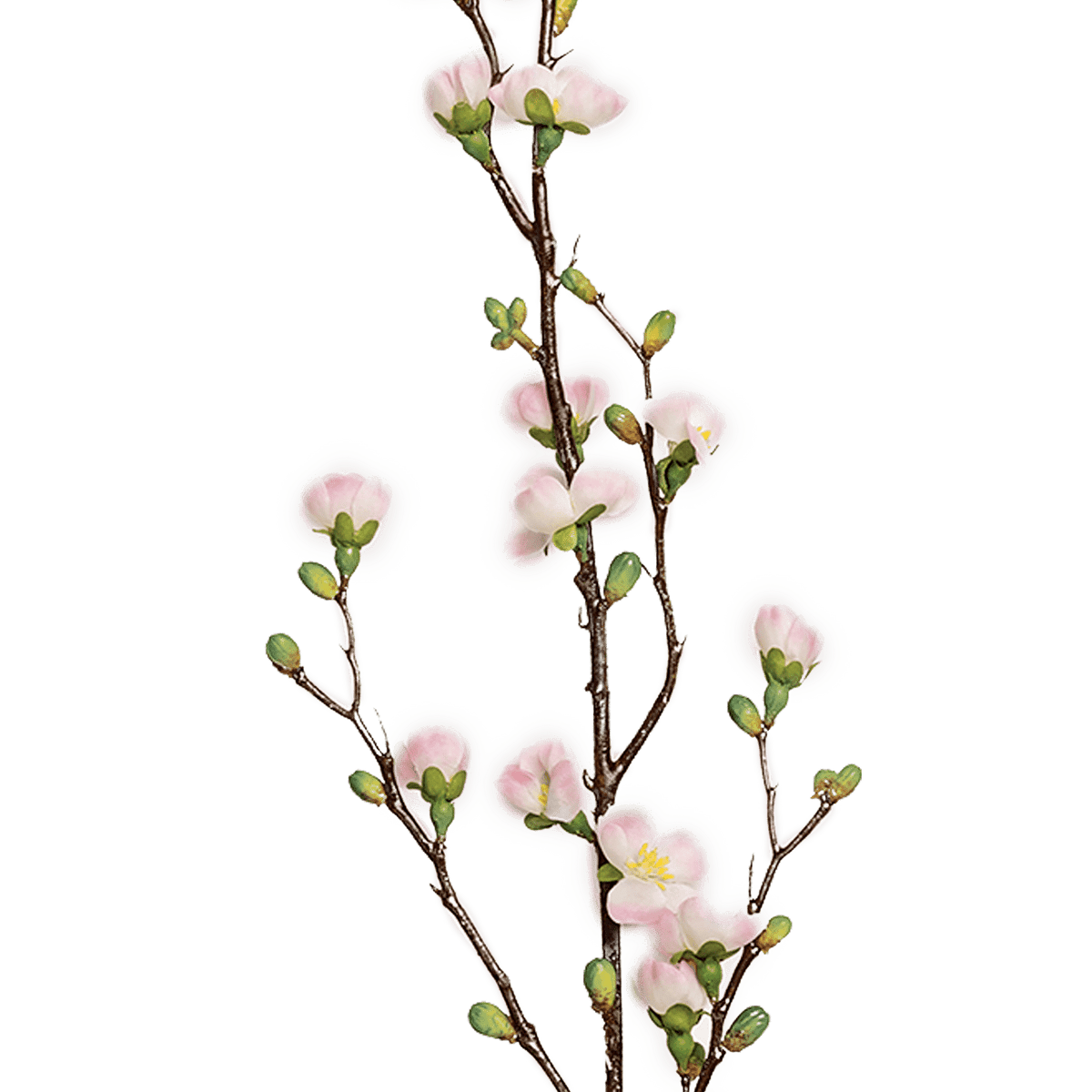 RI000795_1_1