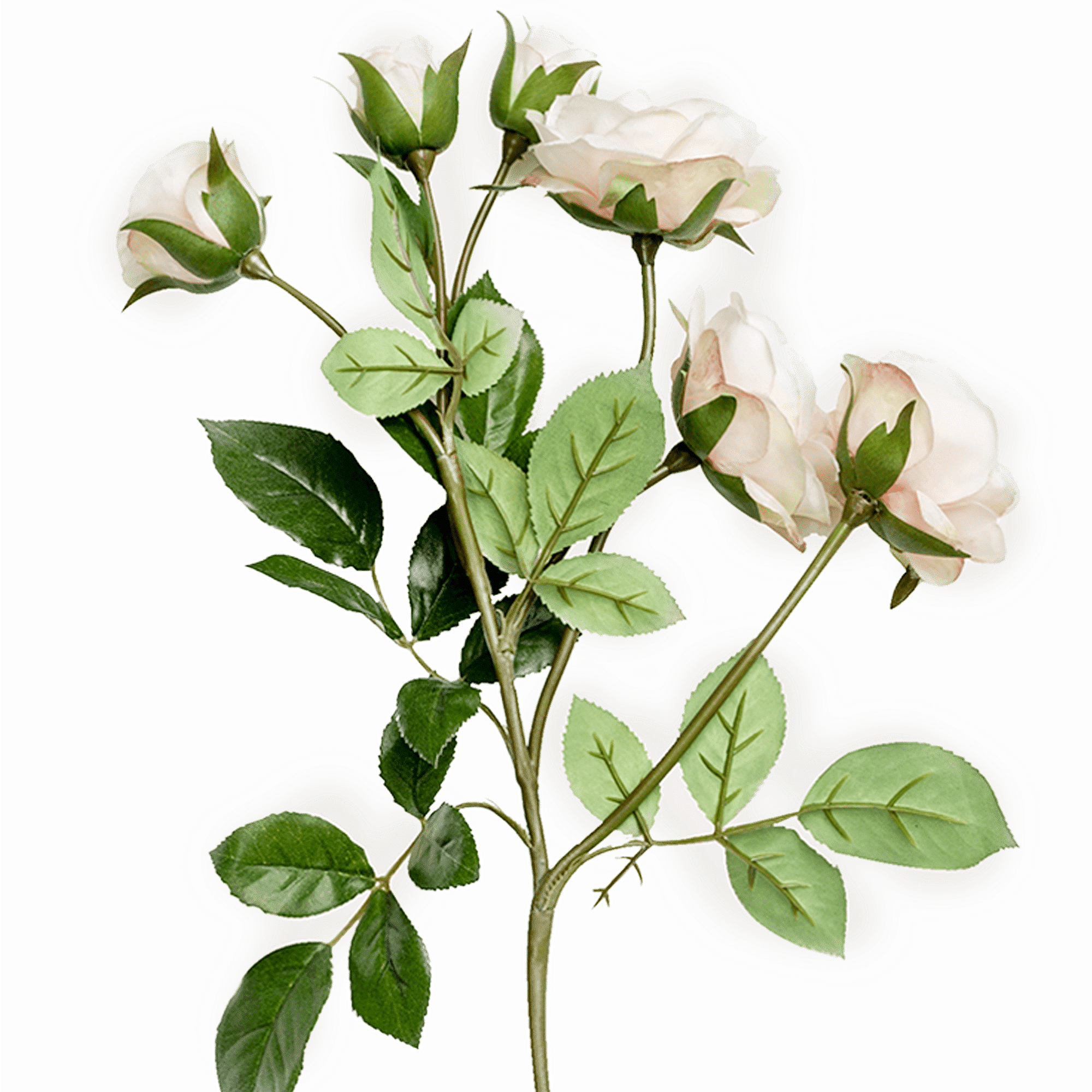 RI000798_1_1