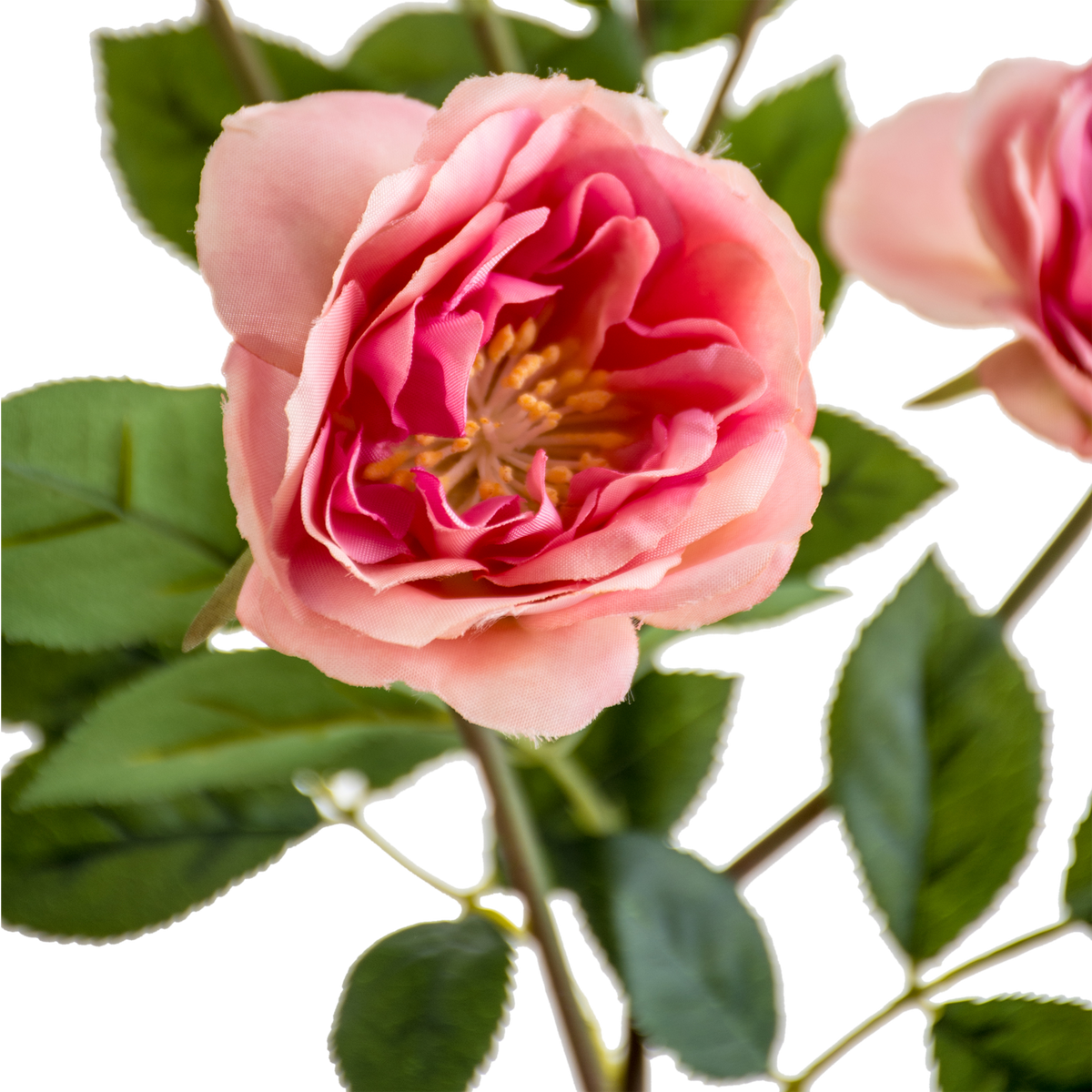 Rose Spray Purple/ green L58 cm