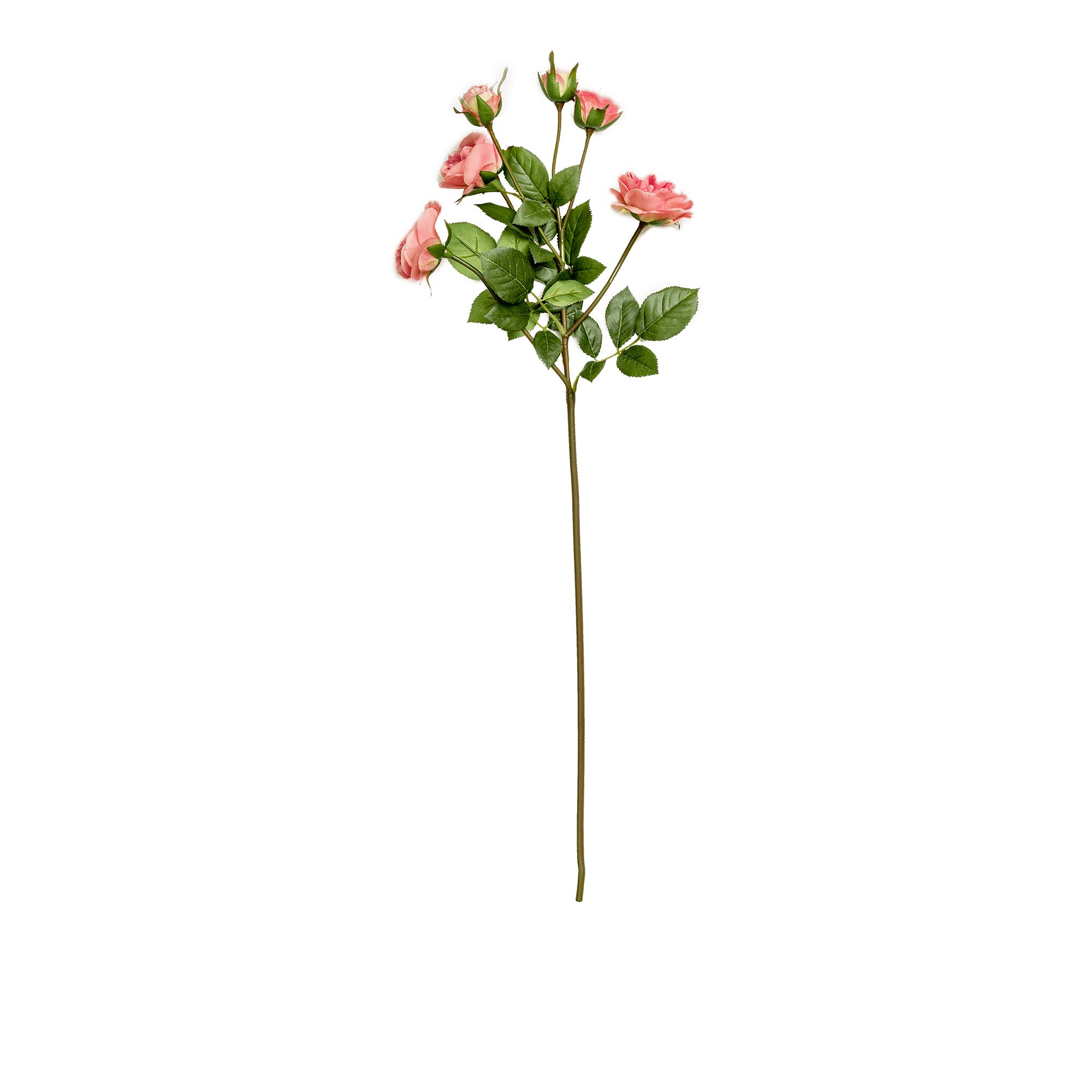 RI000854_3