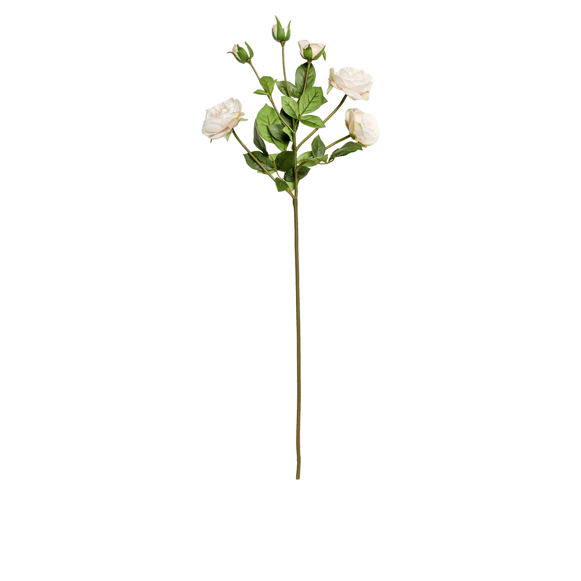 RI000855_3