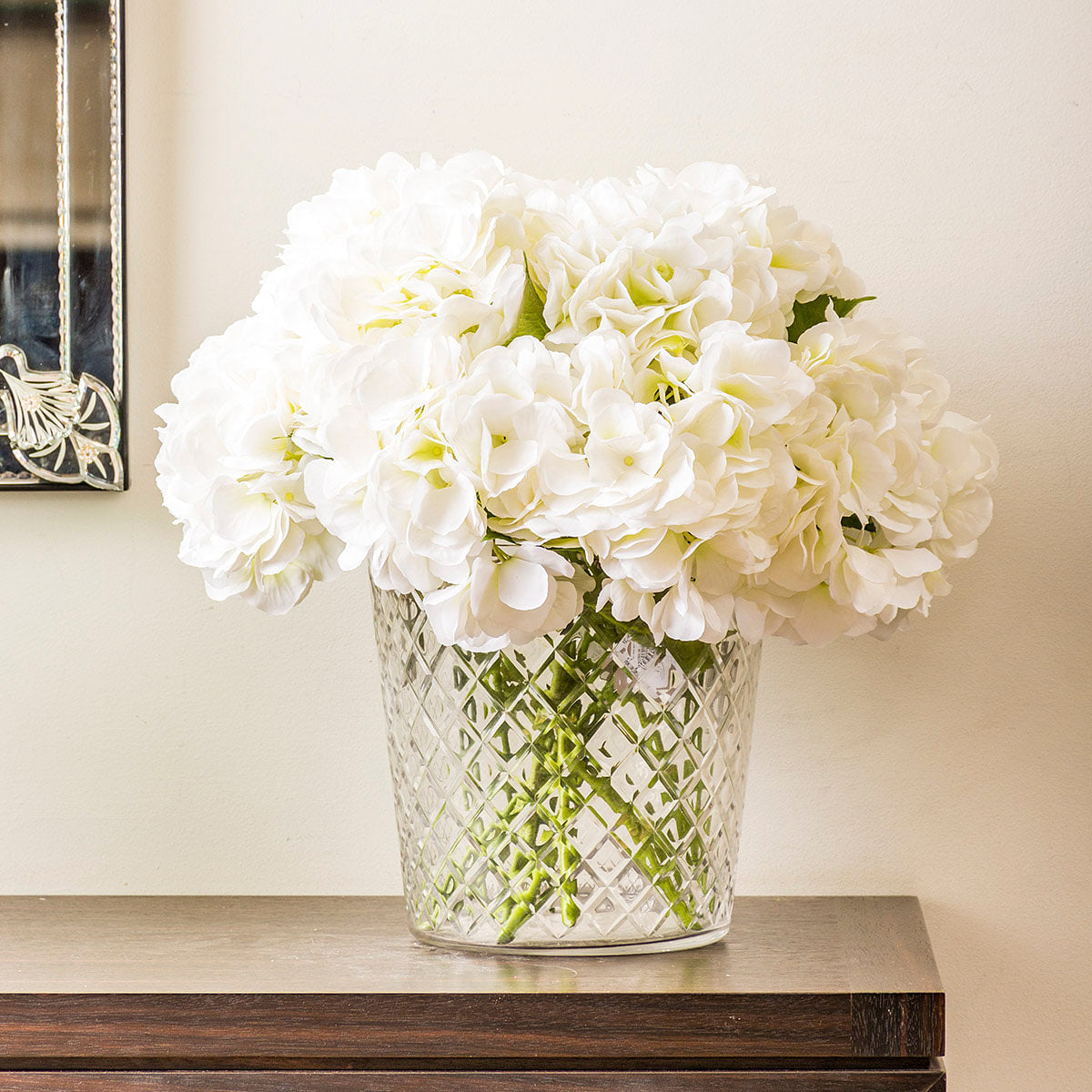 Hydrangea Stem