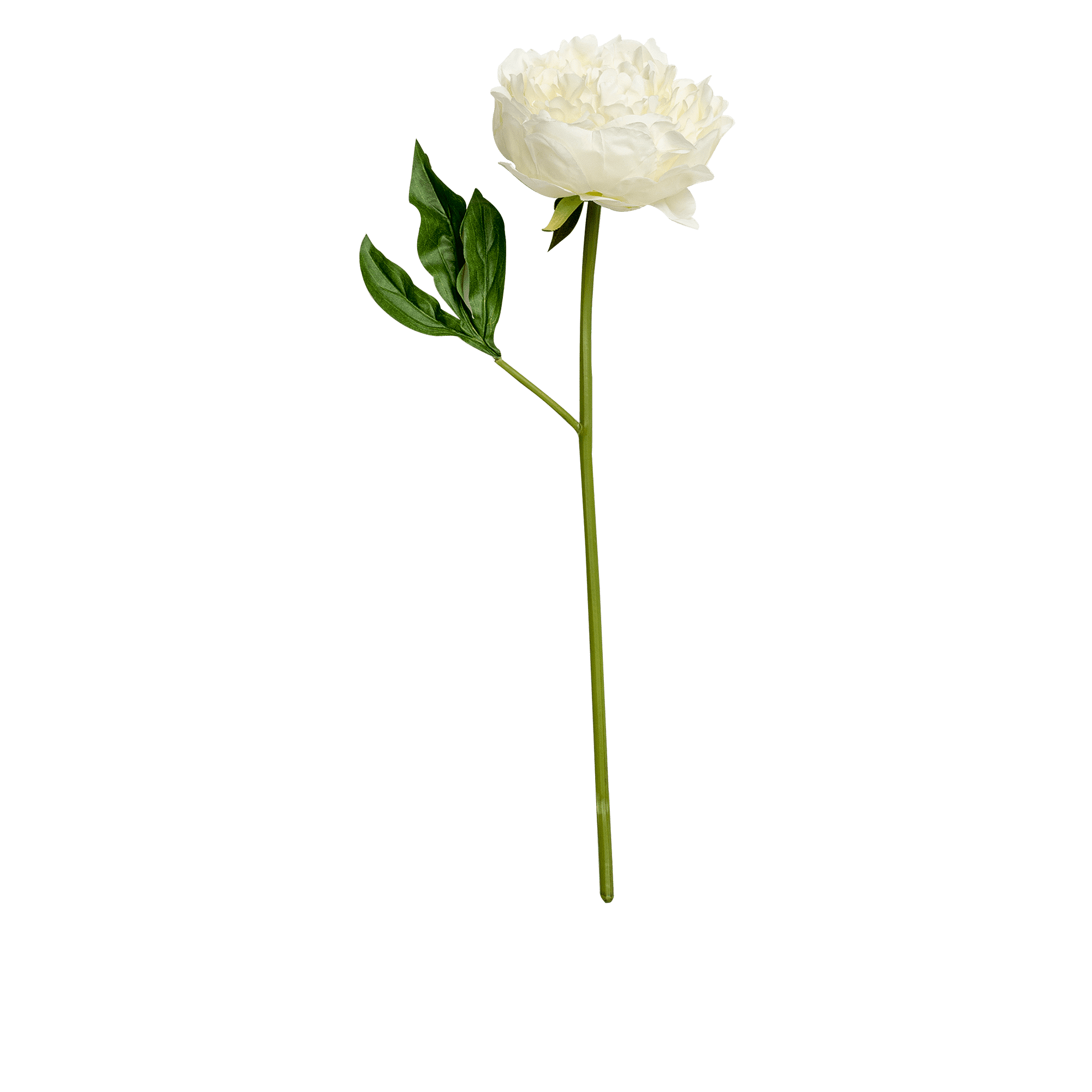 RI000863_3_1