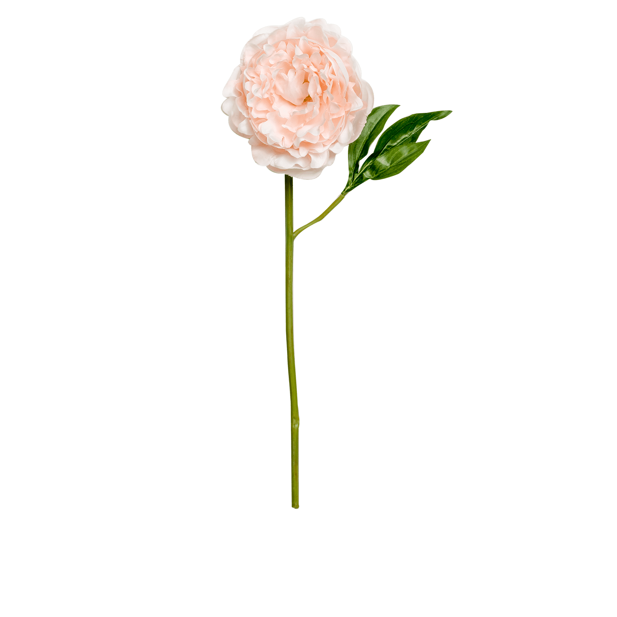 RI000865_3