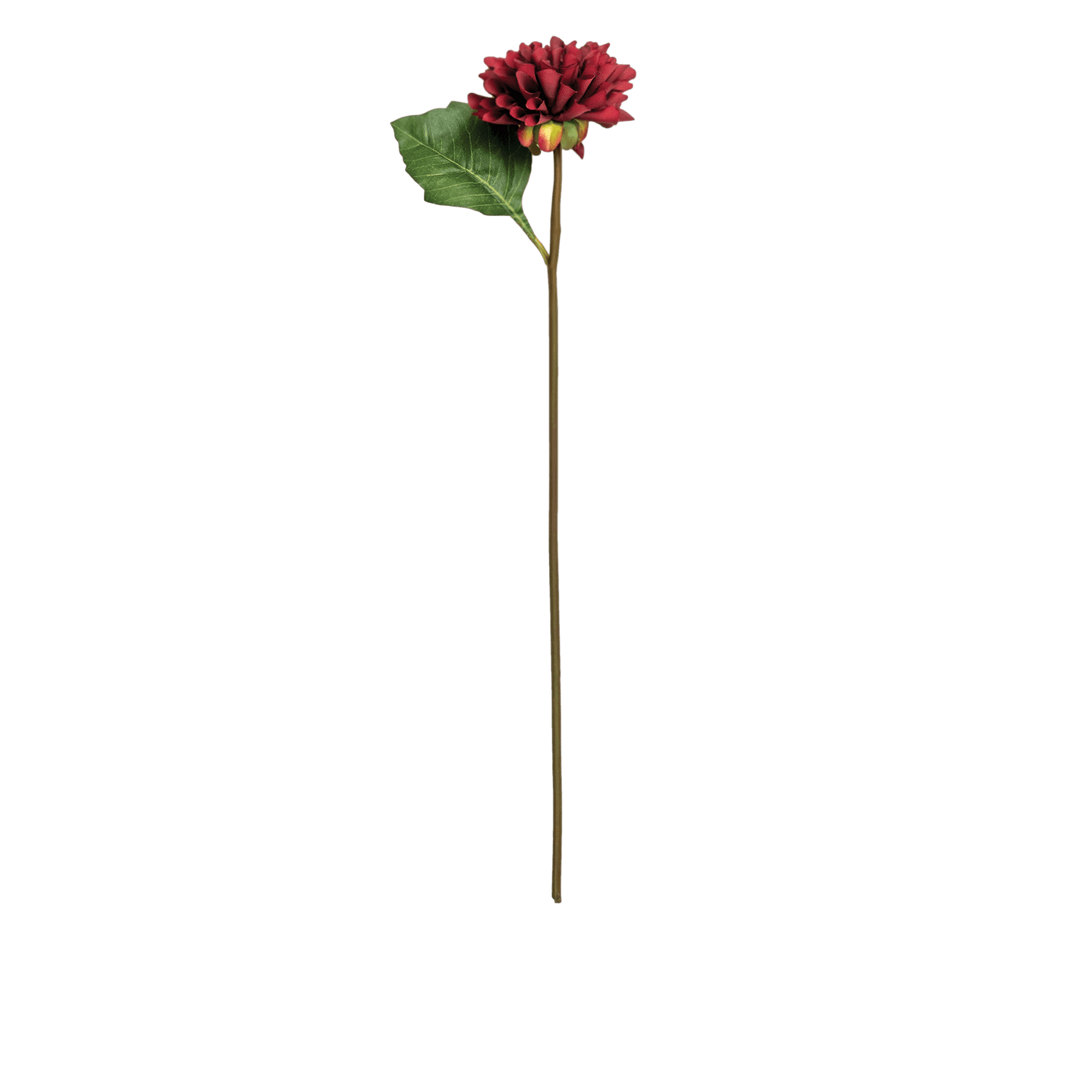 RI000867_3