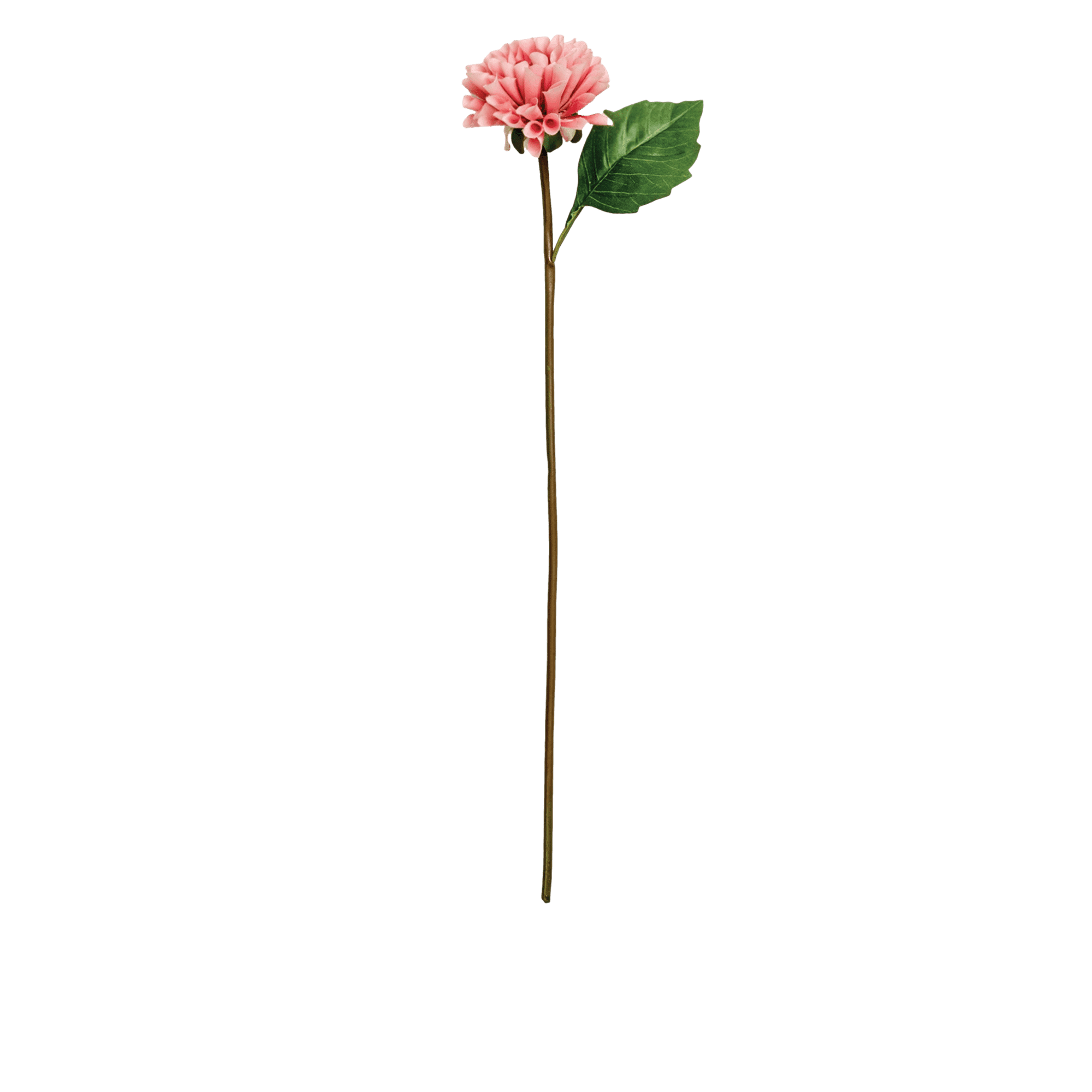 RI000868_3