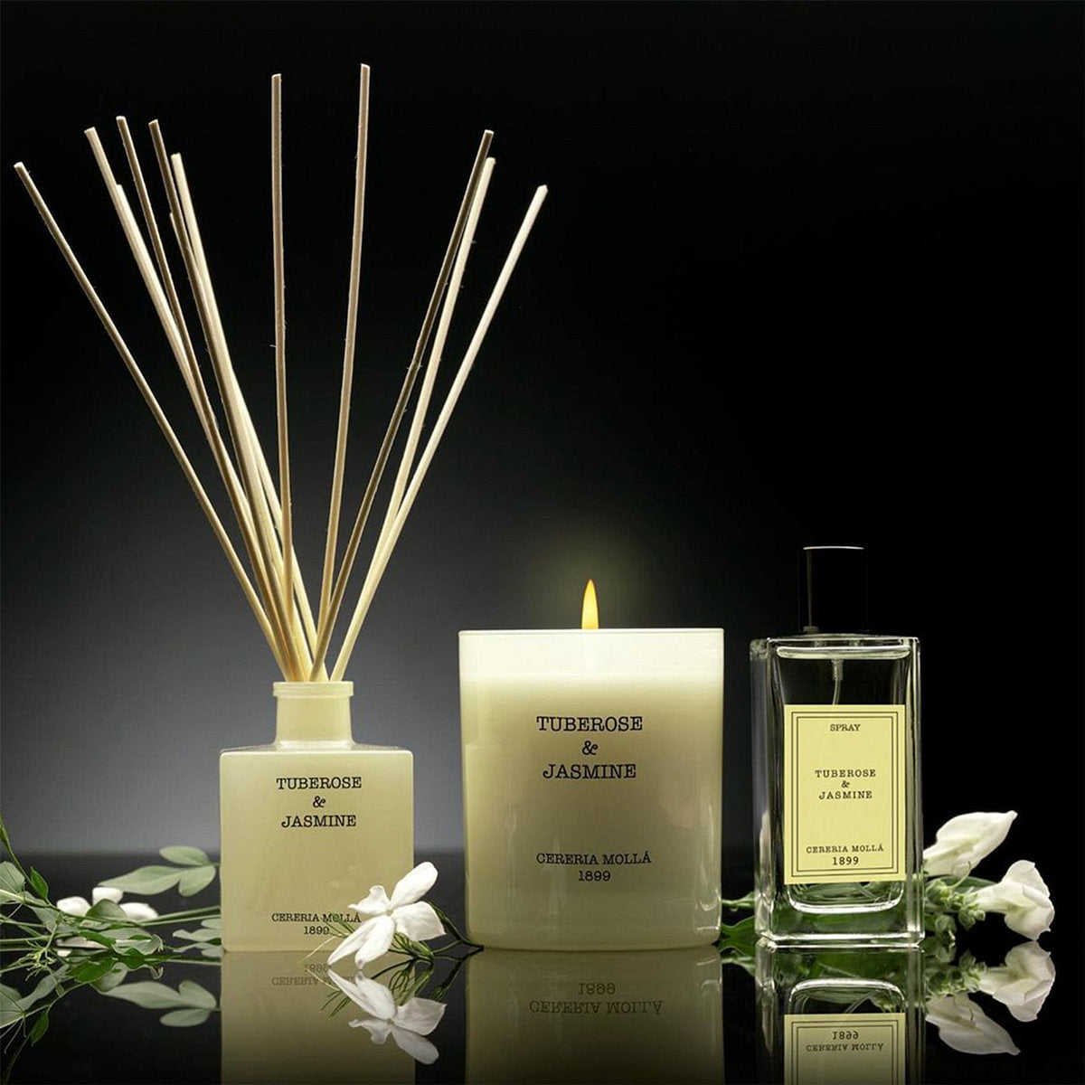 Tuberose & Jasmine 3 Wick XL Scented Candle