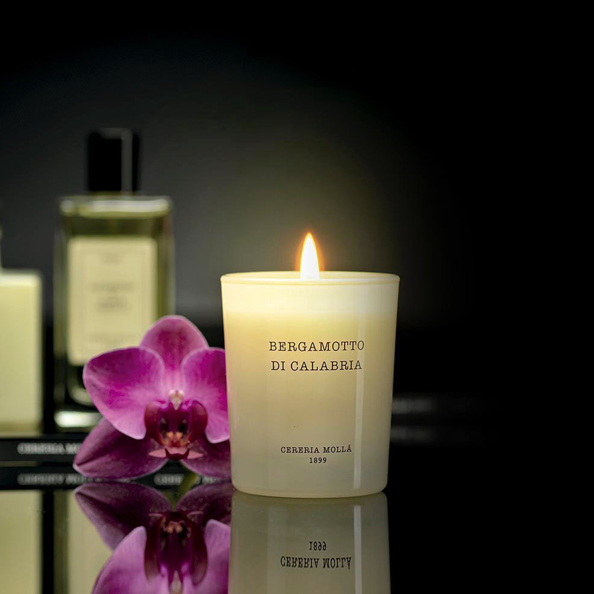 Black Orchid & Lily Scented Candle
