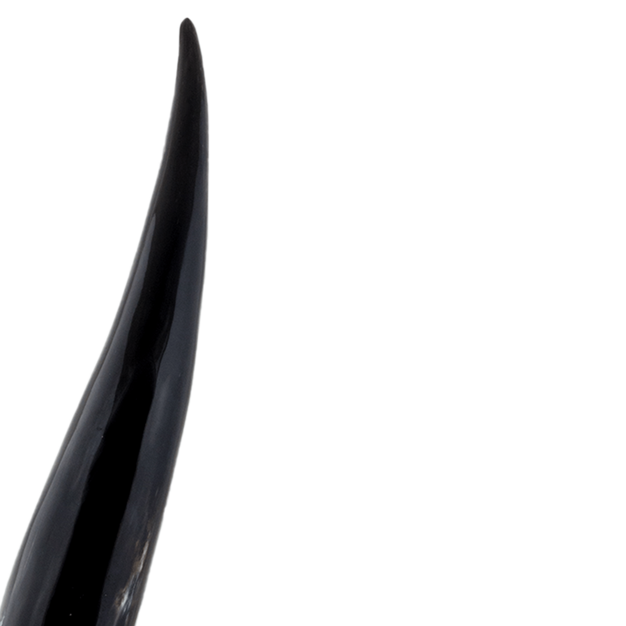 Bison Black Marbled Horn