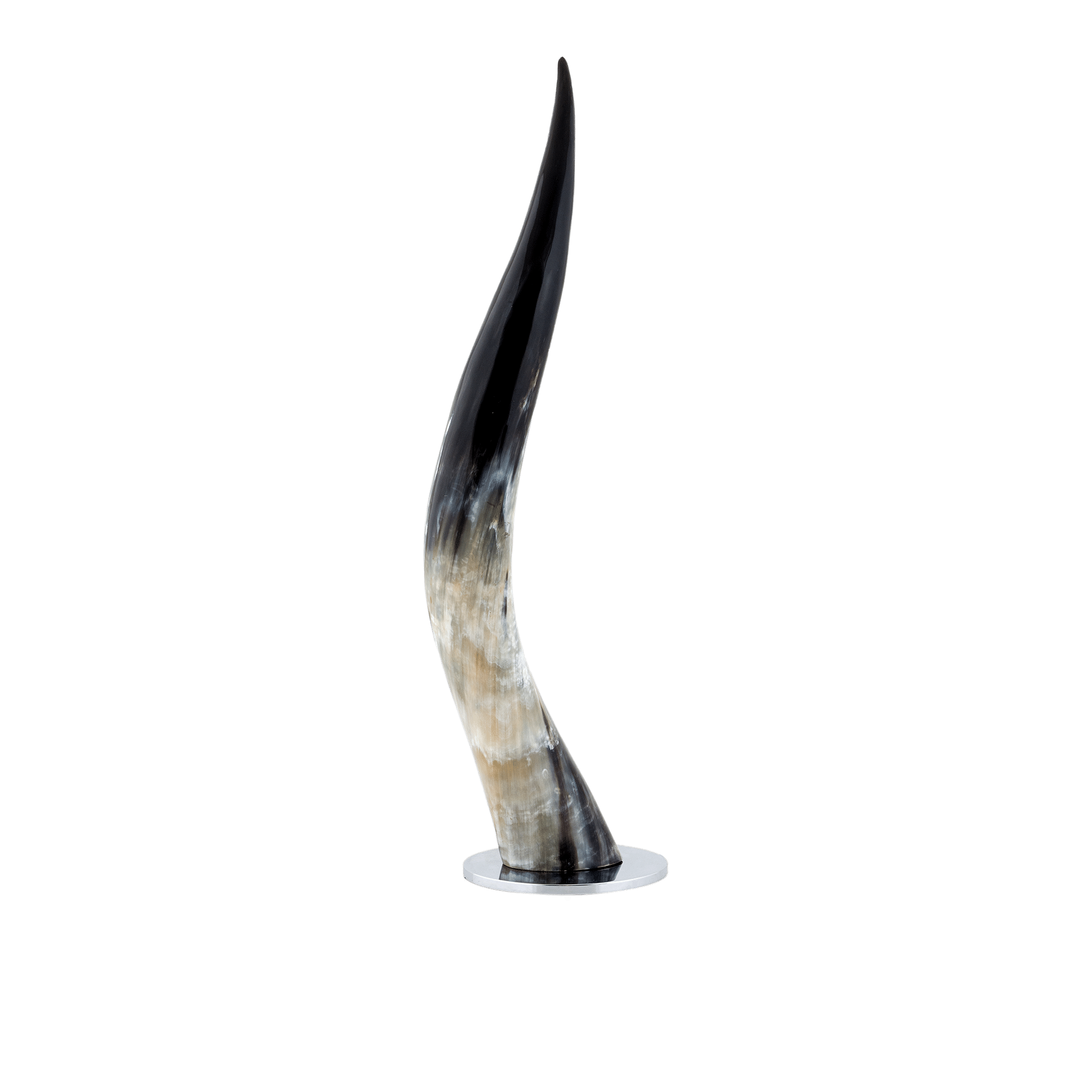 Bison Black Marbled Horn