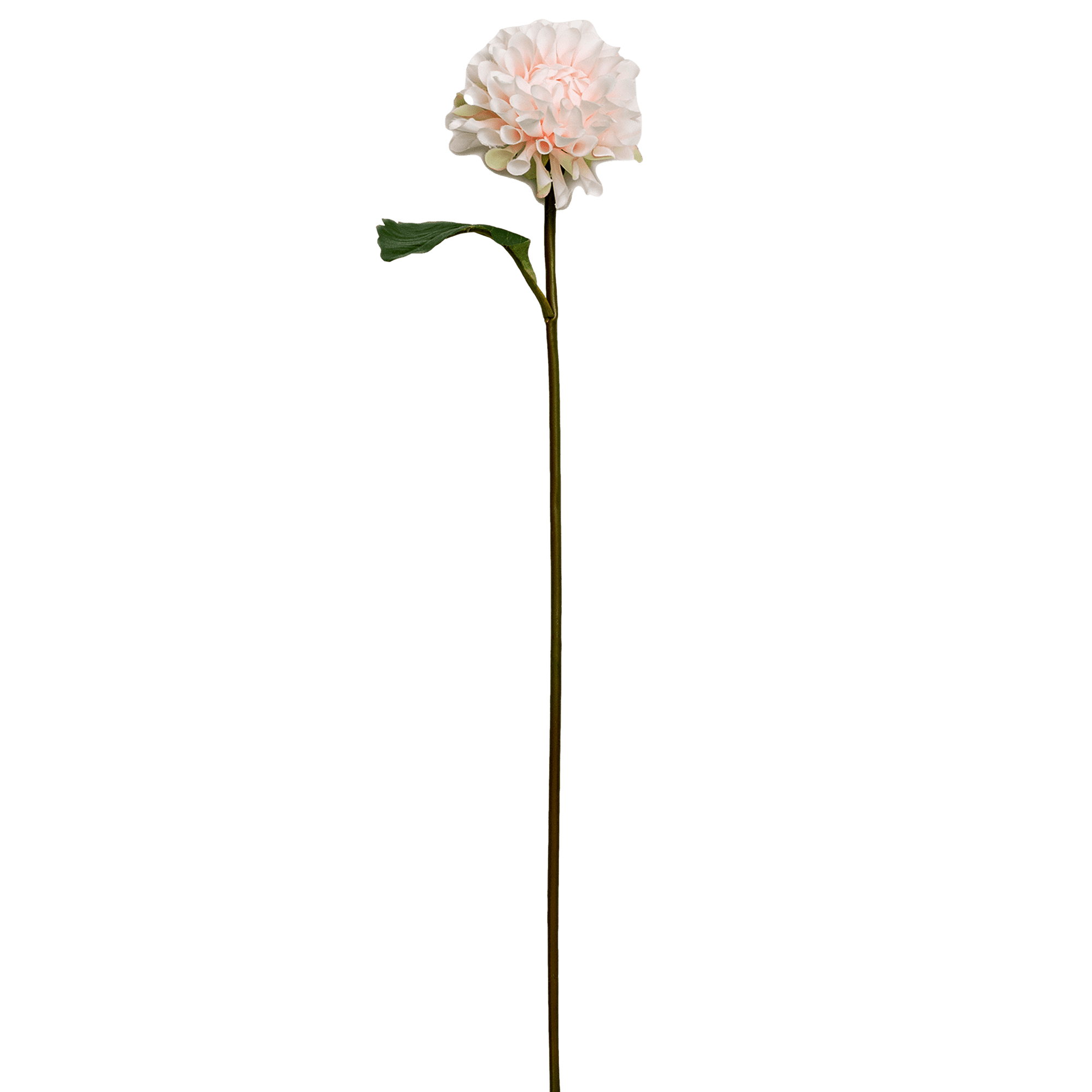 RI002536_3