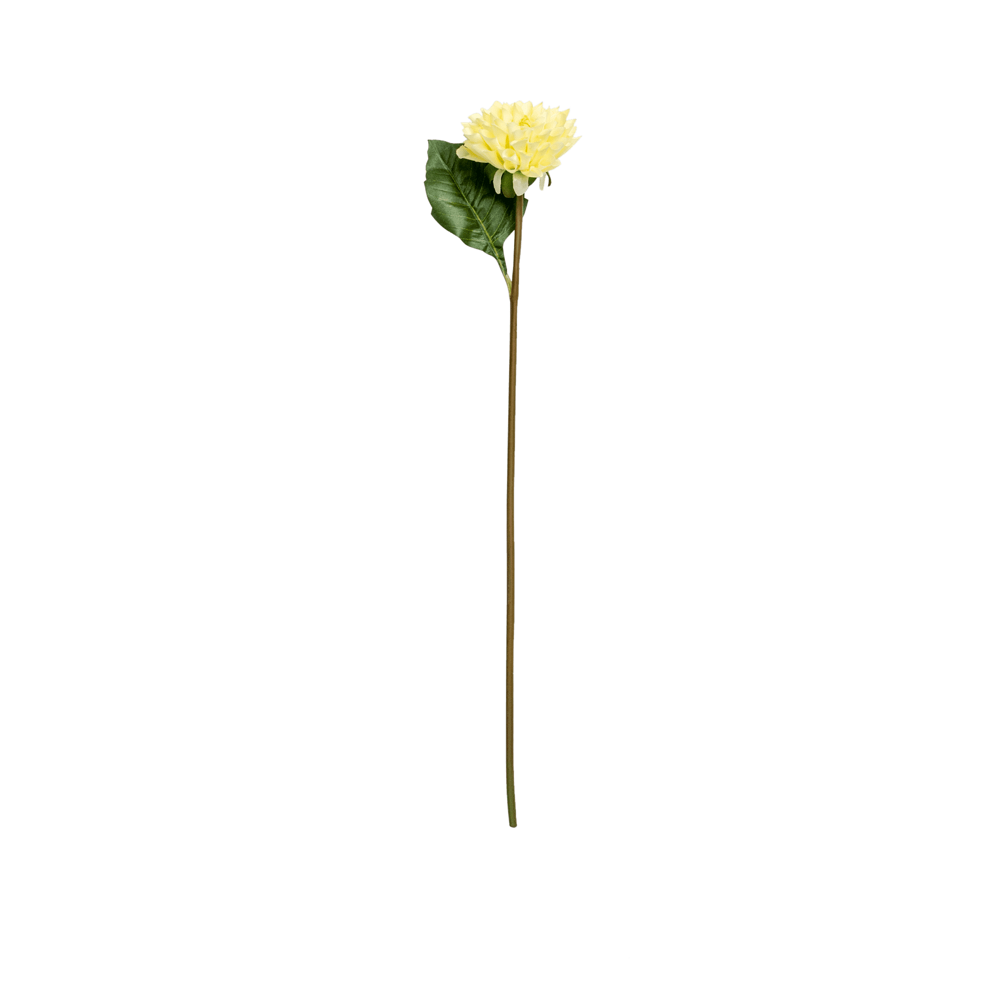 RI002537_2