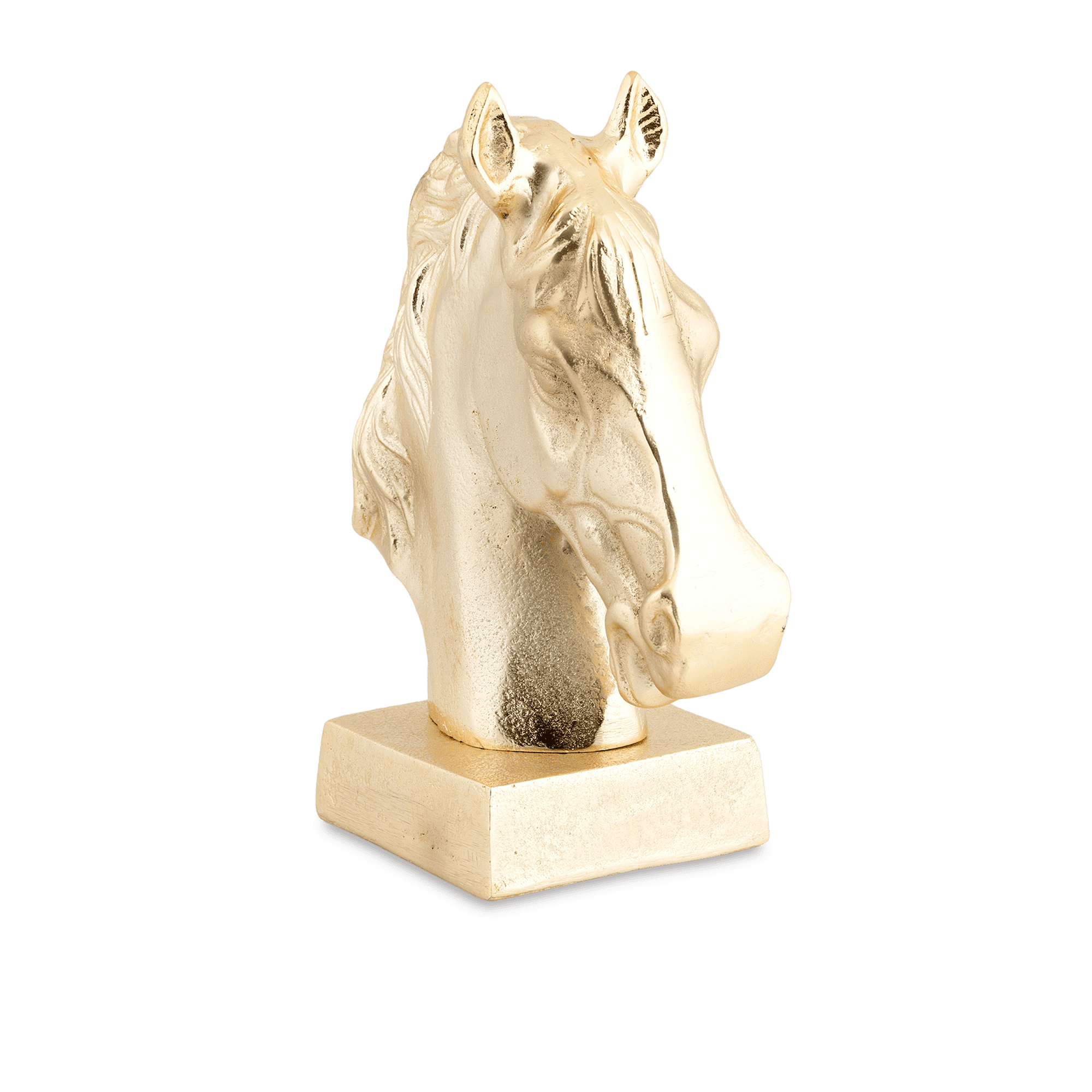 Majestic Horse Head