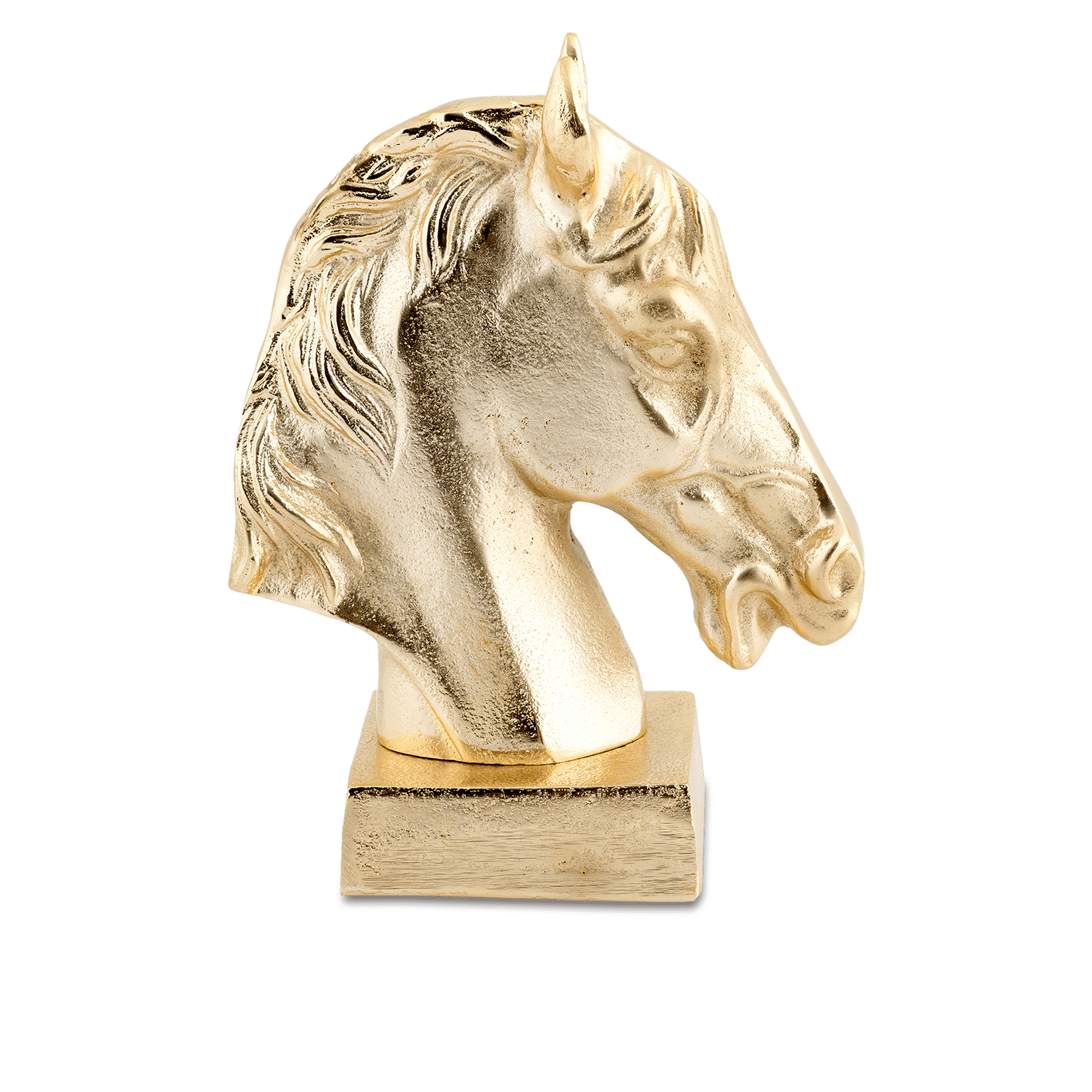 Majestic Horse Head