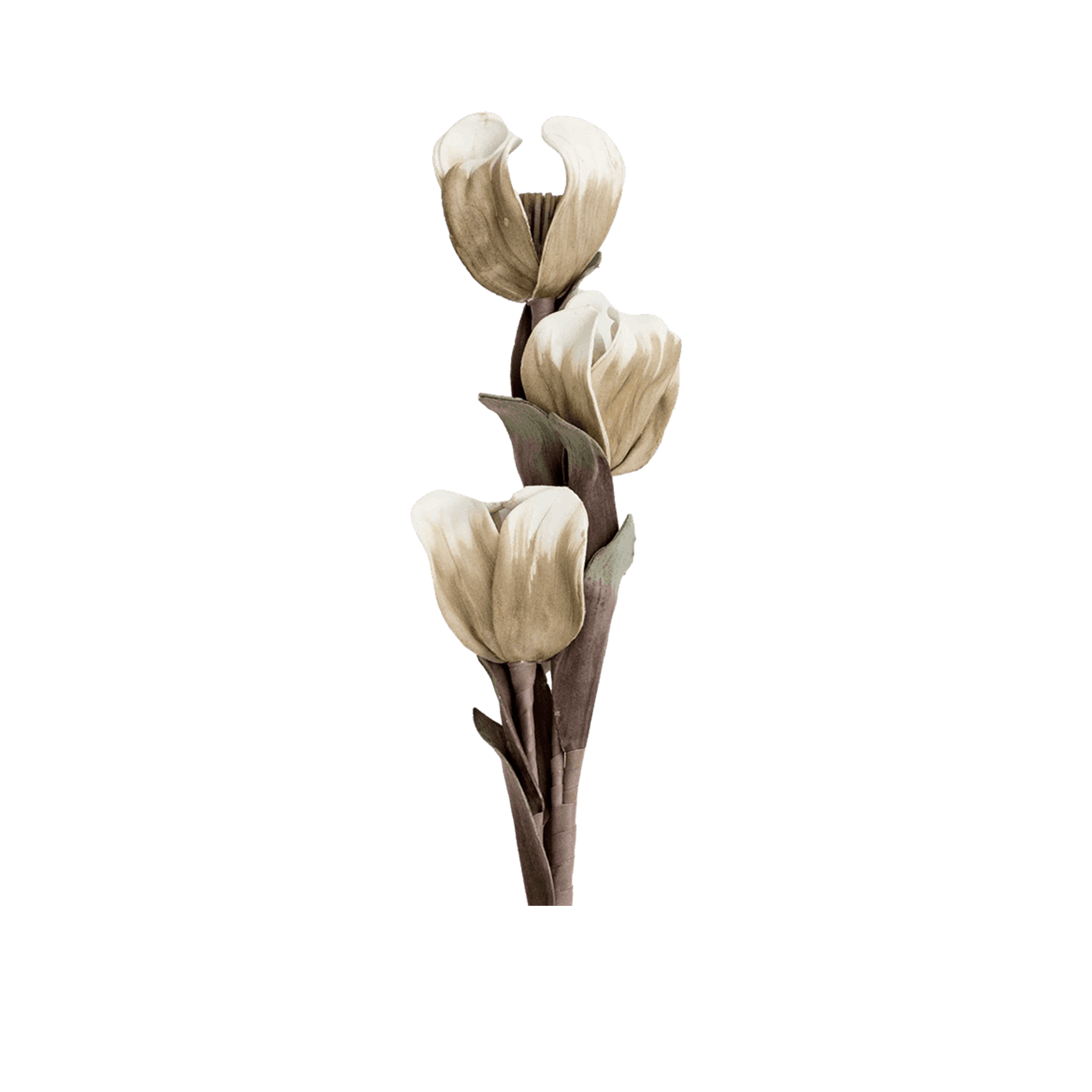 RI002660_1