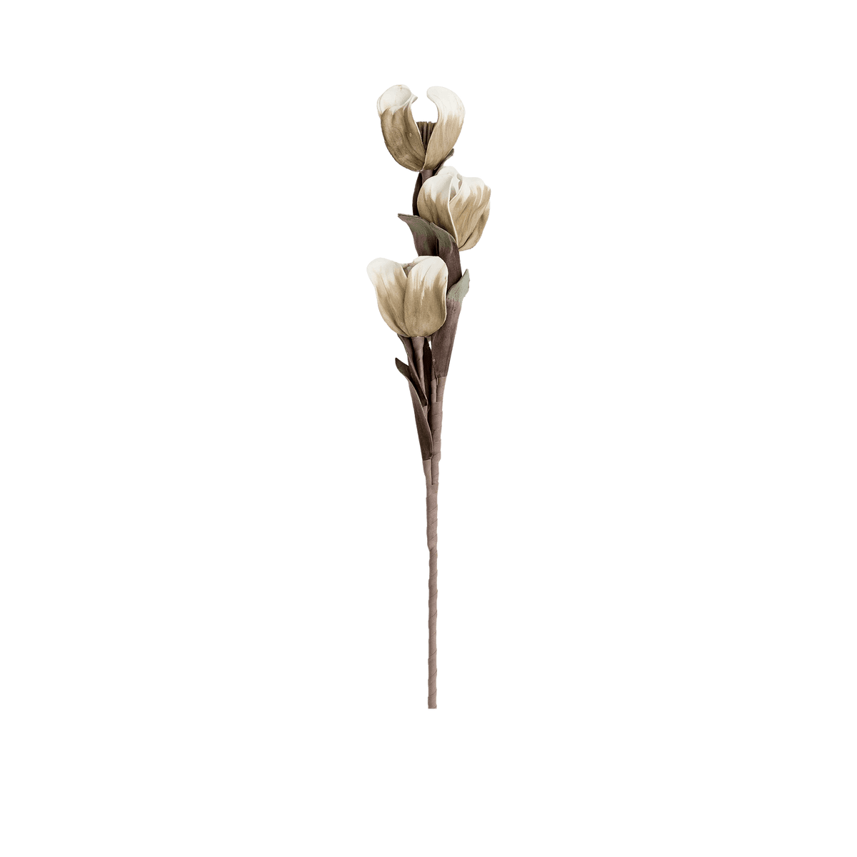 RI002660_2