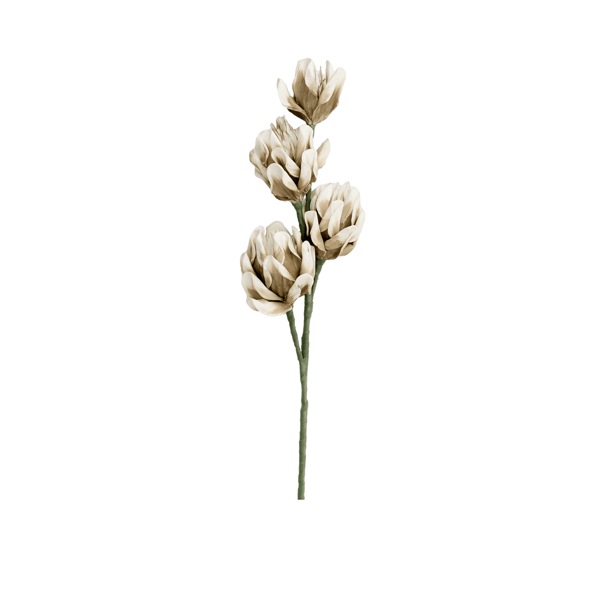 RI002662_2