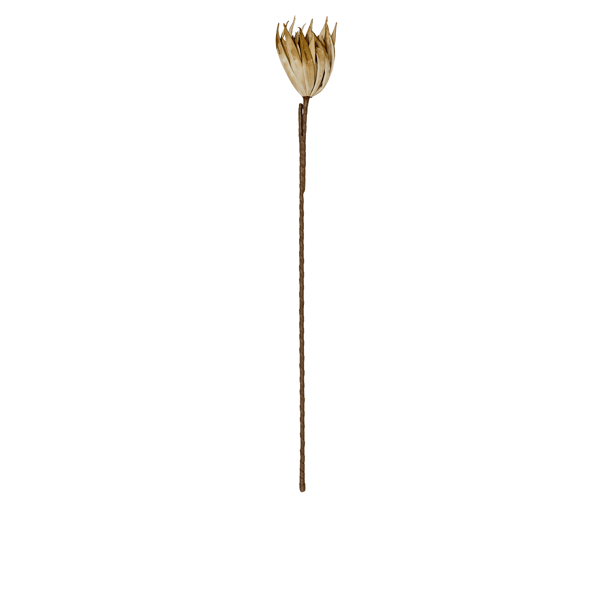 RI002664_2_1