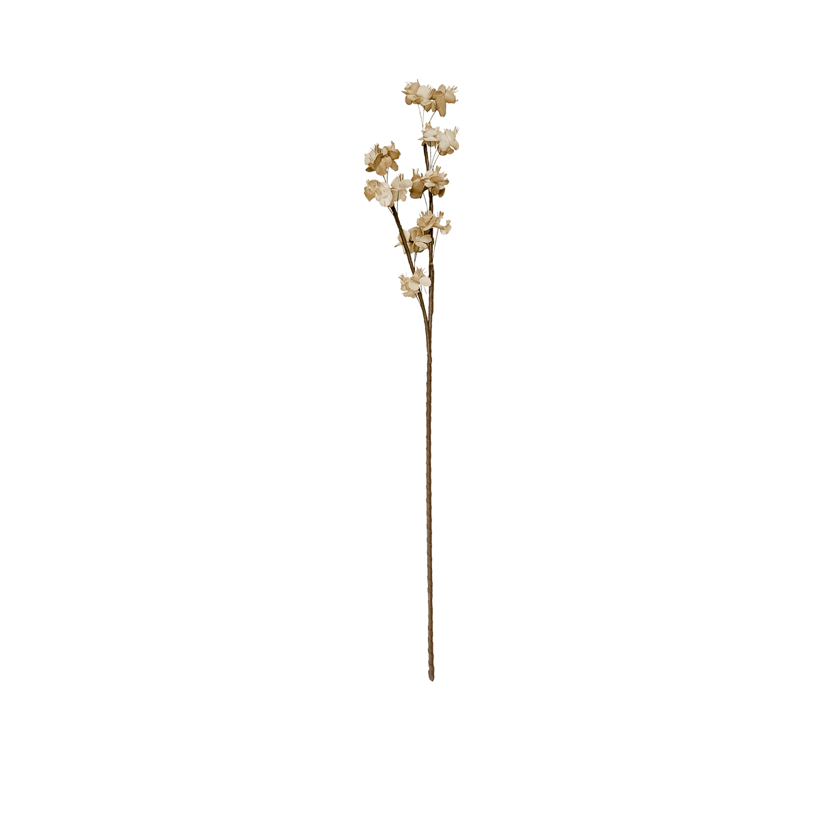 RI002666_2