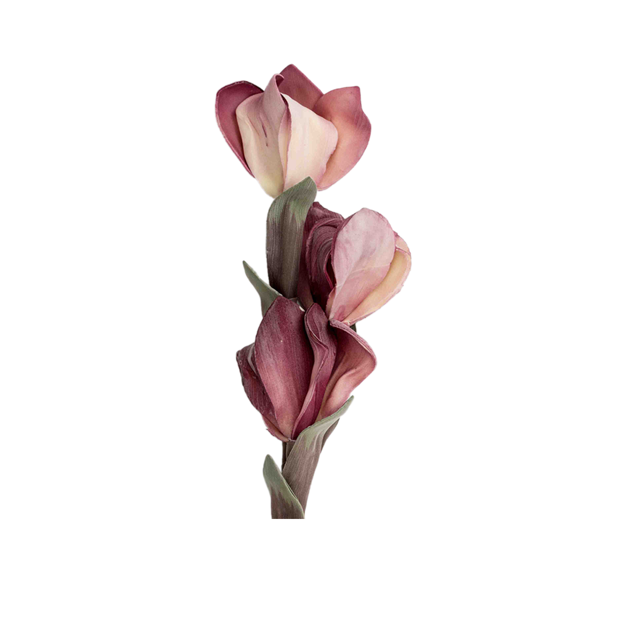 RI002667_1