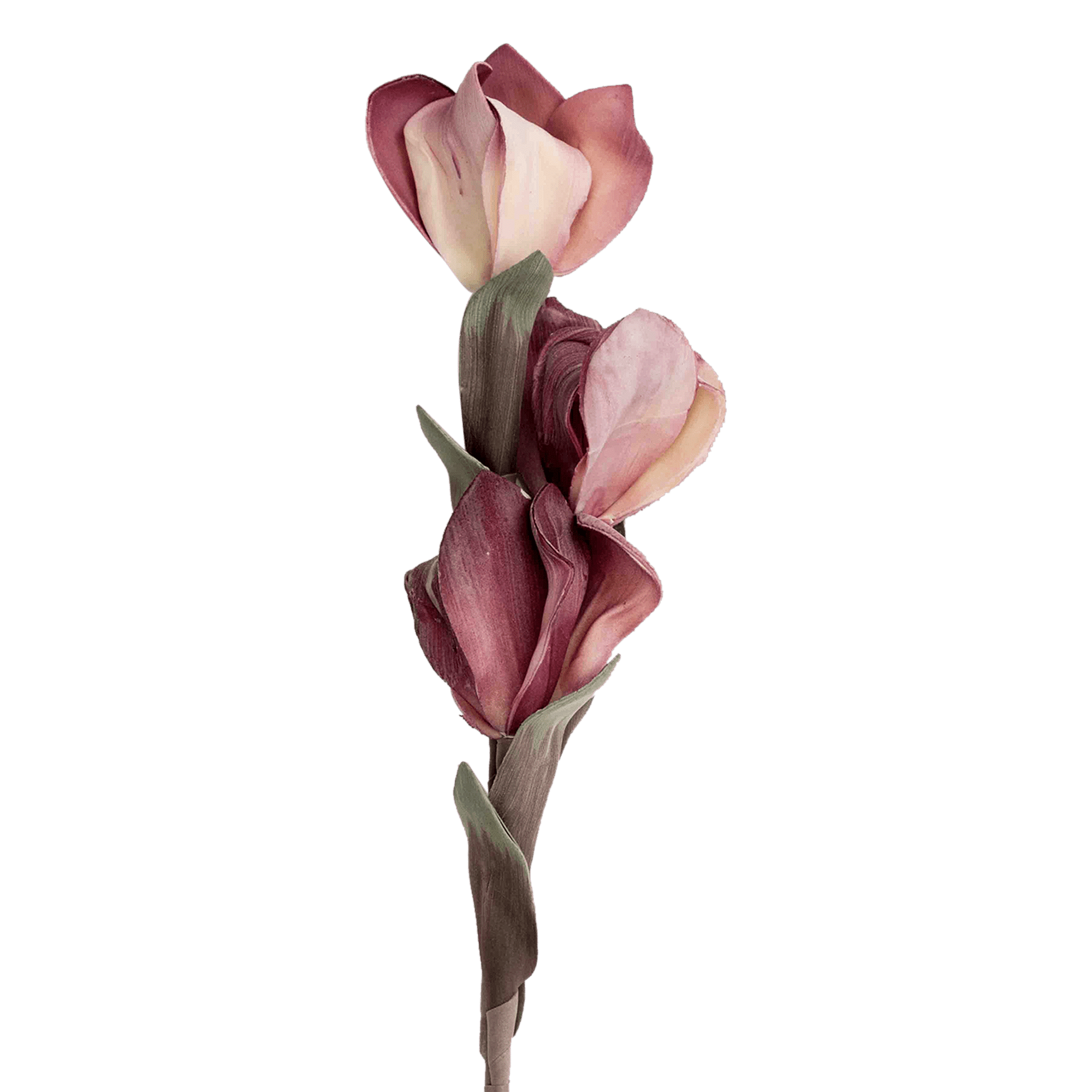 /R/I/RI002667_1_1.png